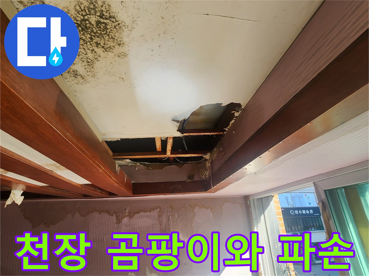 천장 마감재 파손-곰팡이 발생 부위
