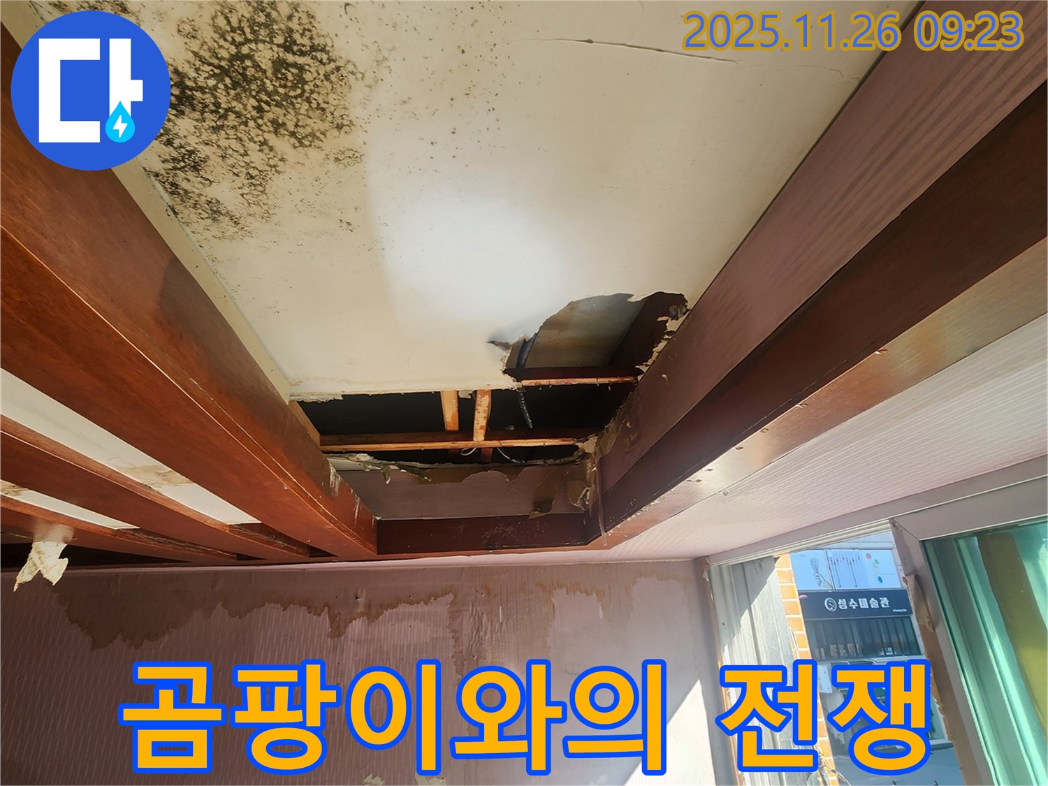 포천 신북면 계류리 누수 - 곰팡이와의 전쟁에서 승리! 쾌적한 환경을 되찾아 드립니다.