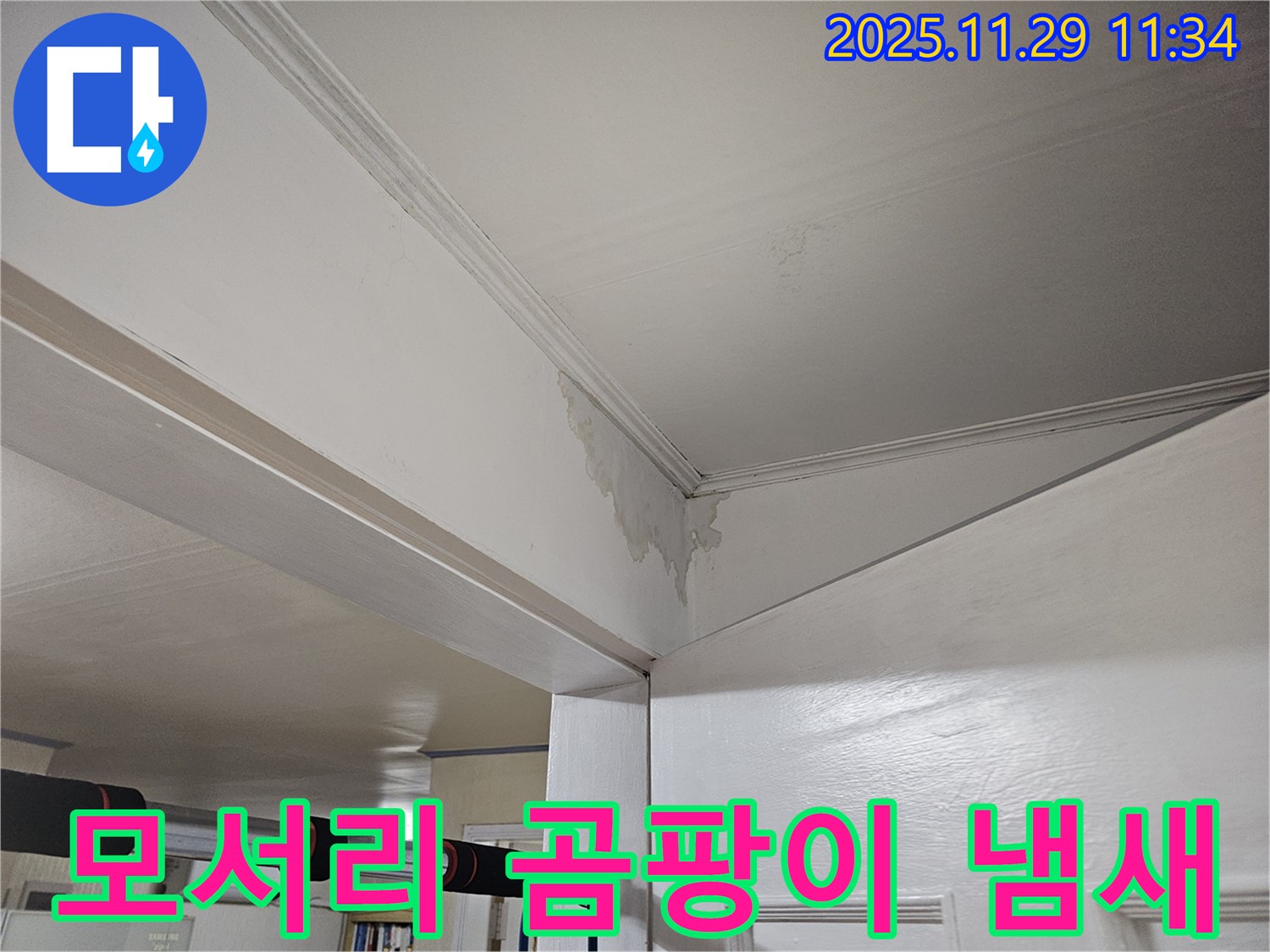 파주 광탄 누수 - 천장 모서리 곰팡이, 냄새까지 싹 잡아드려 쾌적하게!