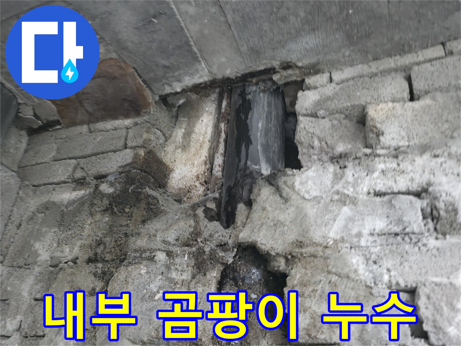 건물 내부 곰팡이로 인한 누수 - 곰팡이가 건물 내부 전체로 확산되고 있습니다 - 곰팡이 제거로 건강을 지키세요.