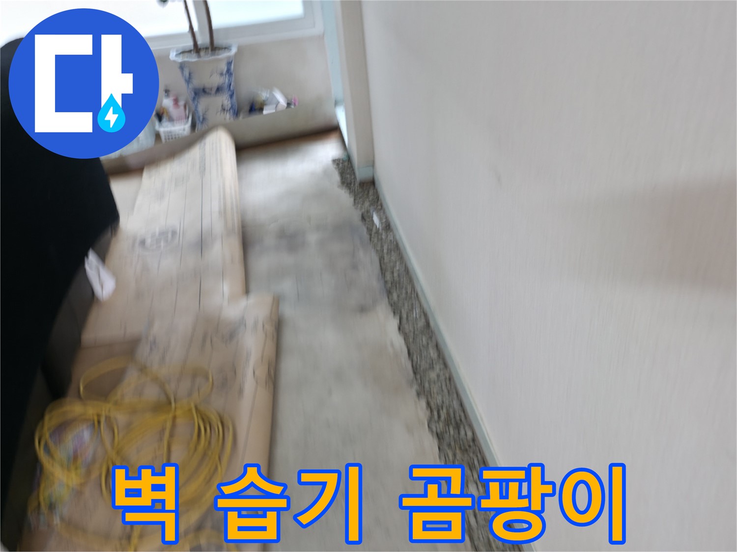 벽면 습기와 곰팡이가 누수 초기 증상인지 확인하는 서초 누수 점검 과정 이미지입니다.