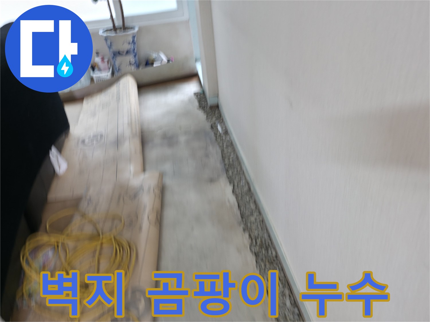 서초2동에서 습기와의 이별! 쾌적한 공간에서 행복 충전하세요!