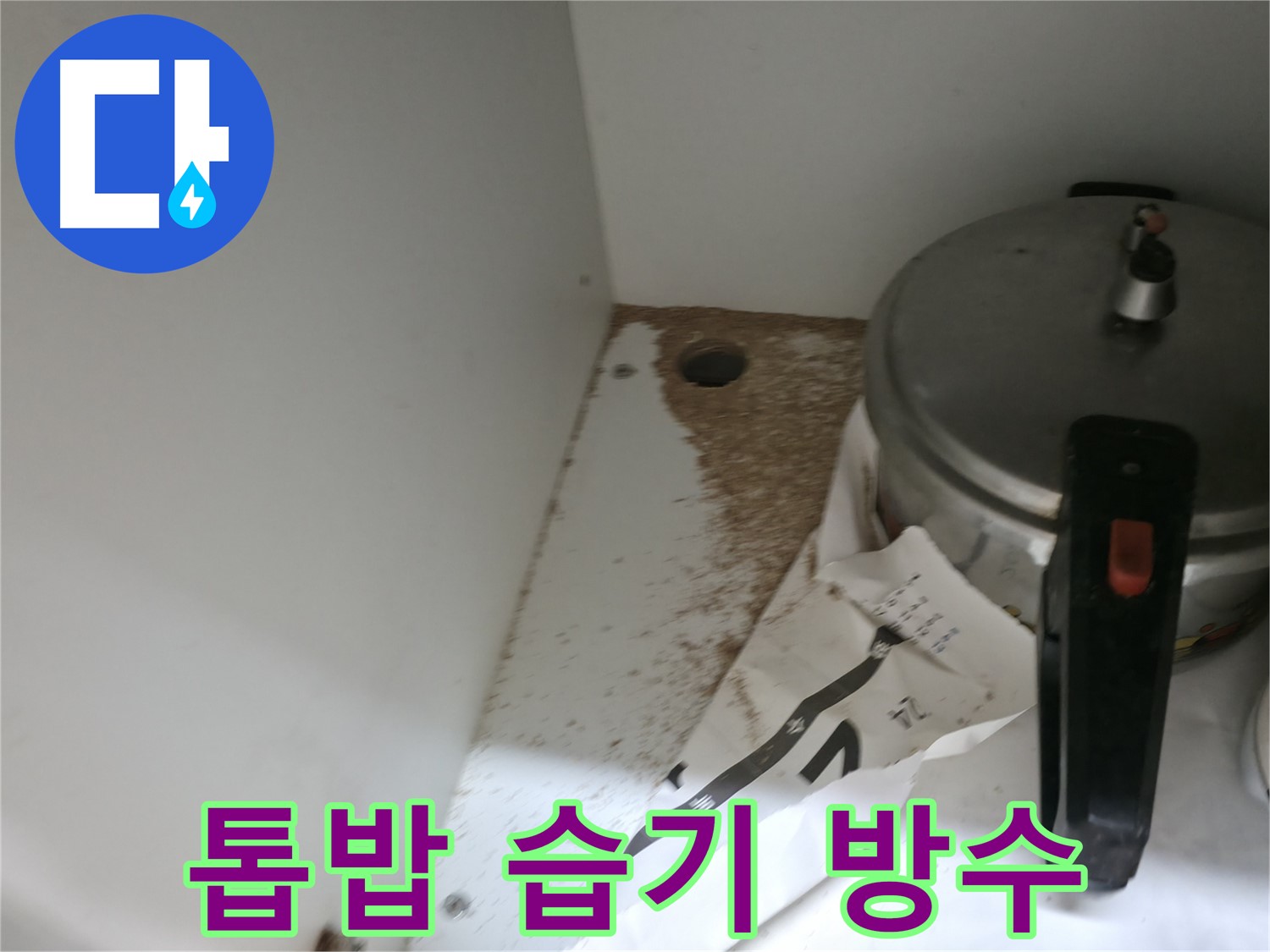 싱크대 밑 - 톱밥 - 낡은 배관 - 배관 교체 시급