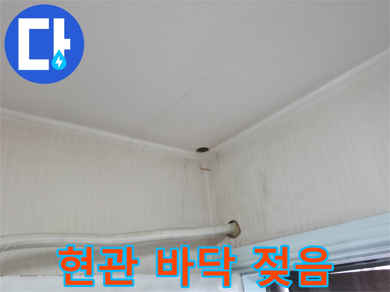 서초2동 341-1 현관 바닥 - 빗물 침투 의심!