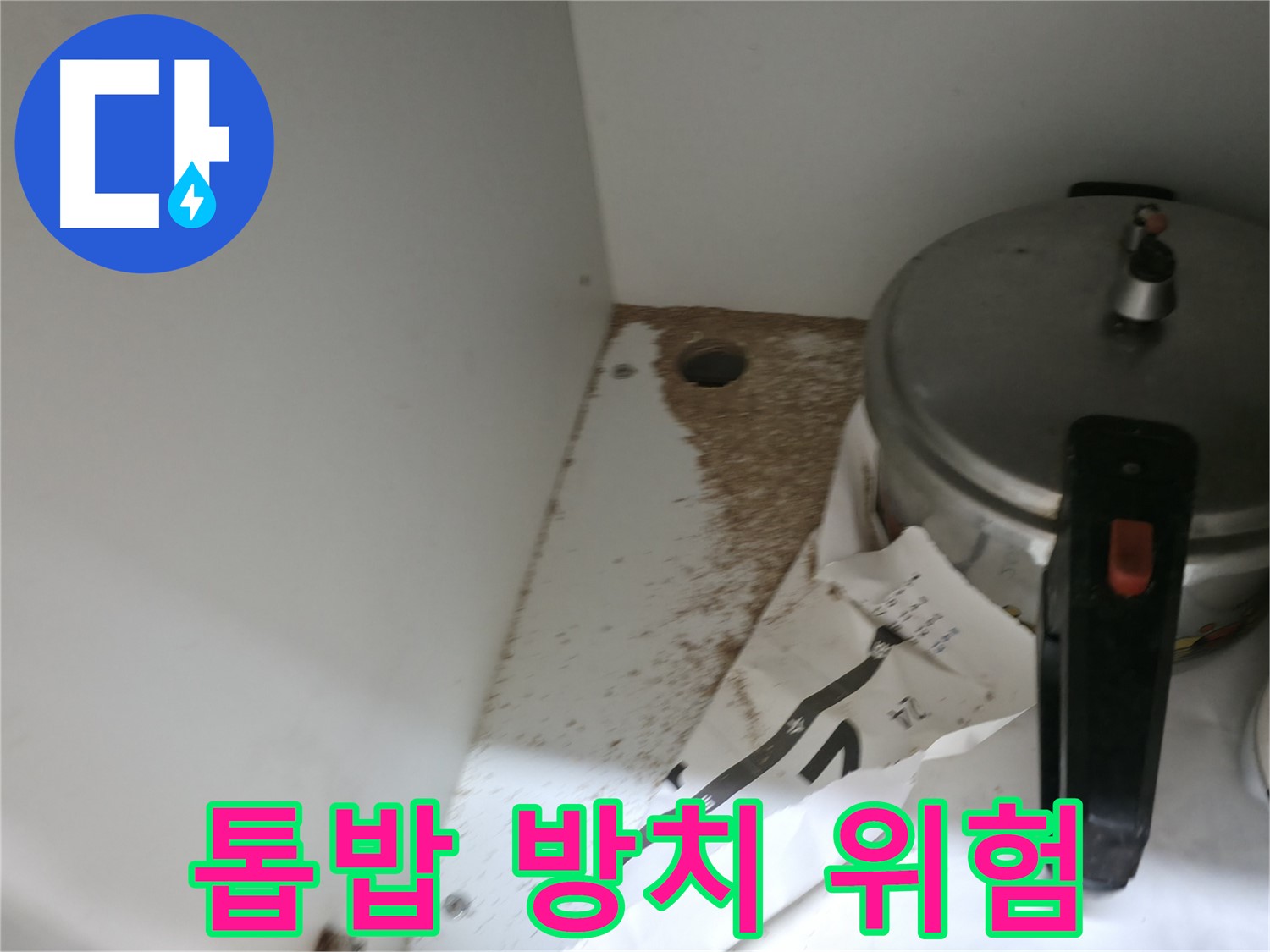 싱크대 밑 - 톱밥 - 나무 썩음 - 누수 해결 전문가