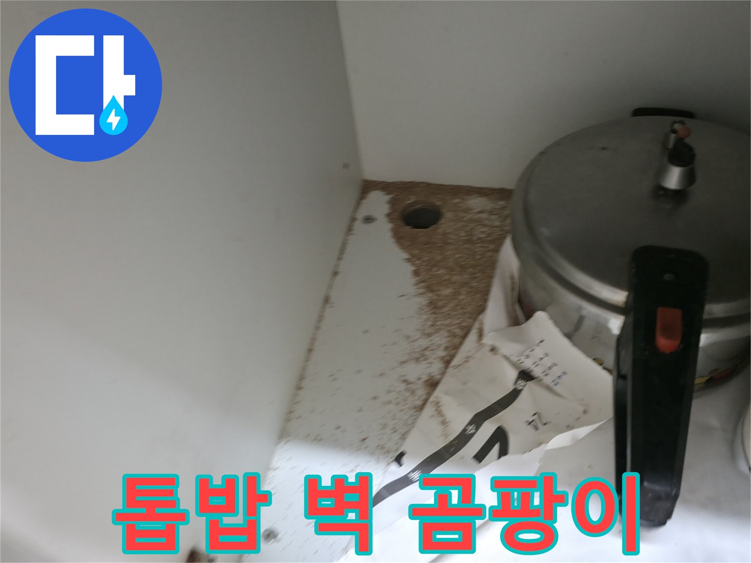 서초2동 싱크대 누수 - 톱밥, 싱크대 주변 벽 곰팡이, 곰팡이 제거 & 완벽 방수 시공