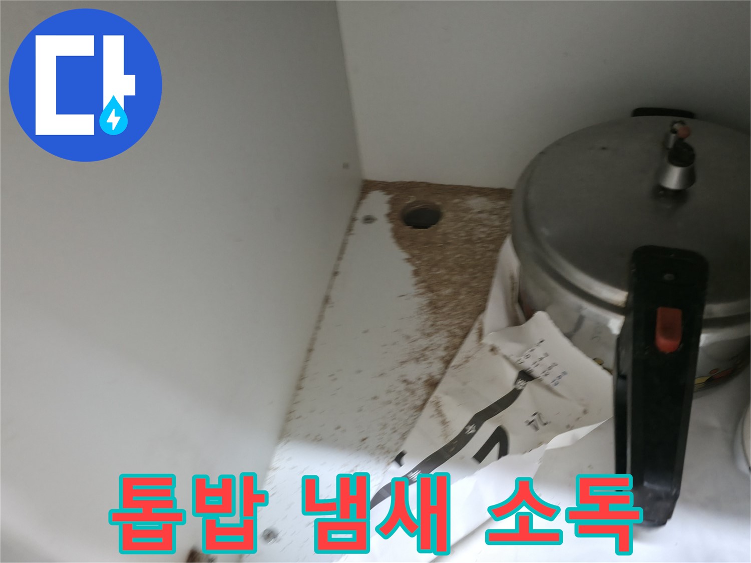 싱크대 밑 - 나무 손상 - 정확한 진단이 필요합니다.