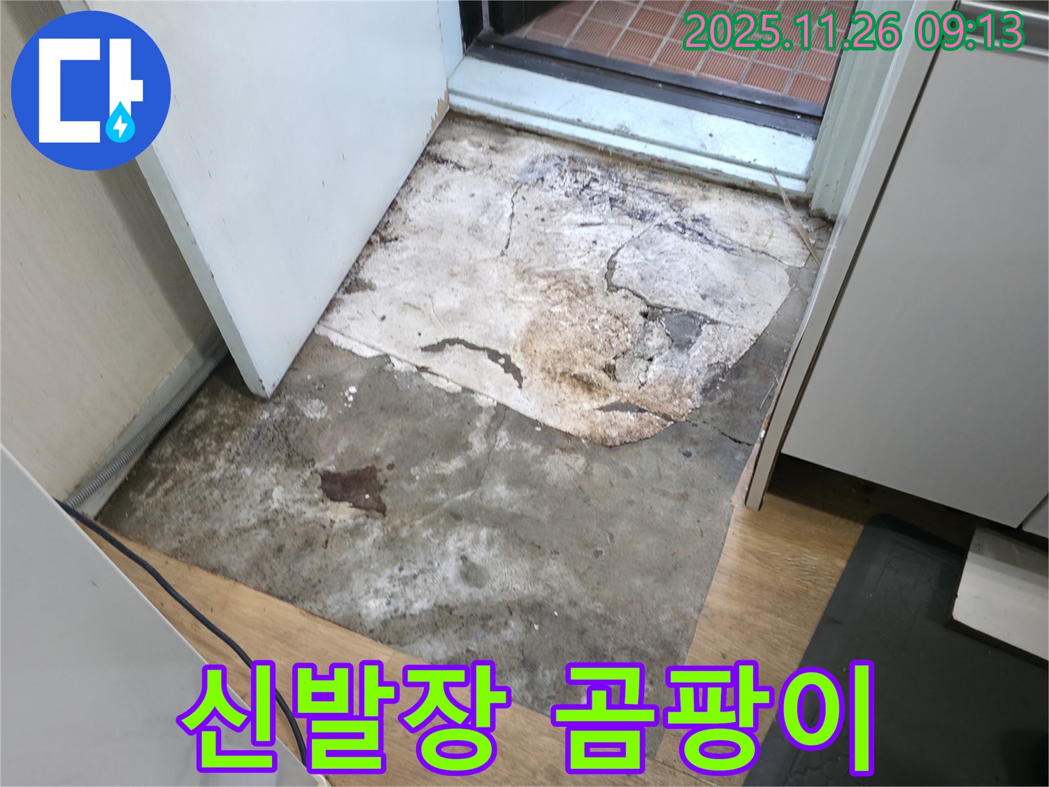 서초2동 현관 신발장 곰팡이 냄새 - 숨겨진 누수 의심, 악취 제거와 원인 해결 필요