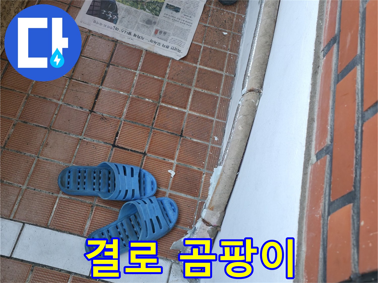 서초구 명달로4길 50 누수 - 결로와 누수로 인한 곰팡이 문제 해결