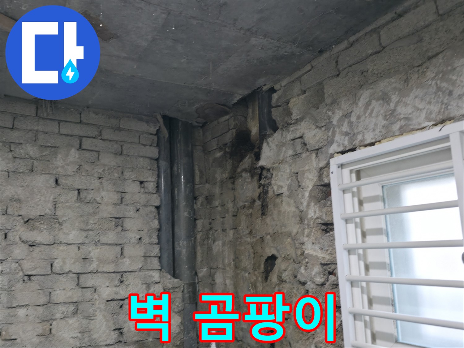 서초구 명달로4길 누수 - 벽에 곰팡이가 심하게 발생했습니다 - 누수 해결과 함께 곰팡이 제거가 필요합니다.