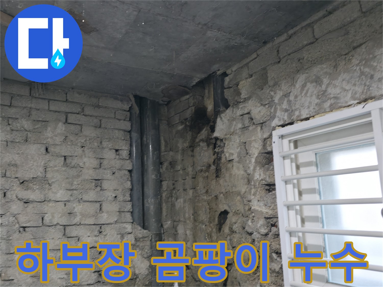 서초구 명달로4길 누수 - 싱크대 하부장에 곰팡이가 심하게 발생했습니다 - 누수 해결과 곰팡이 제거를 동시에 진행했습니다.