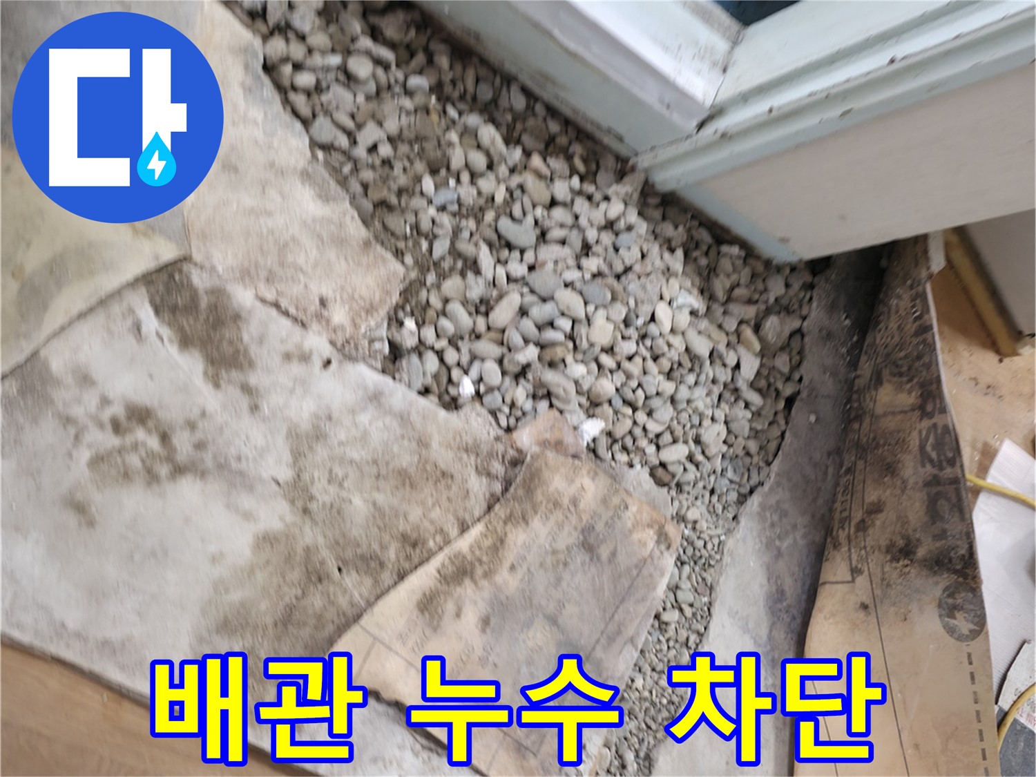 서초구 서초2동 누수 - 곰팡이 주의보 - 습한 환경은 곰팡이 번식의 최적 조건입니다 - 건강을 위협