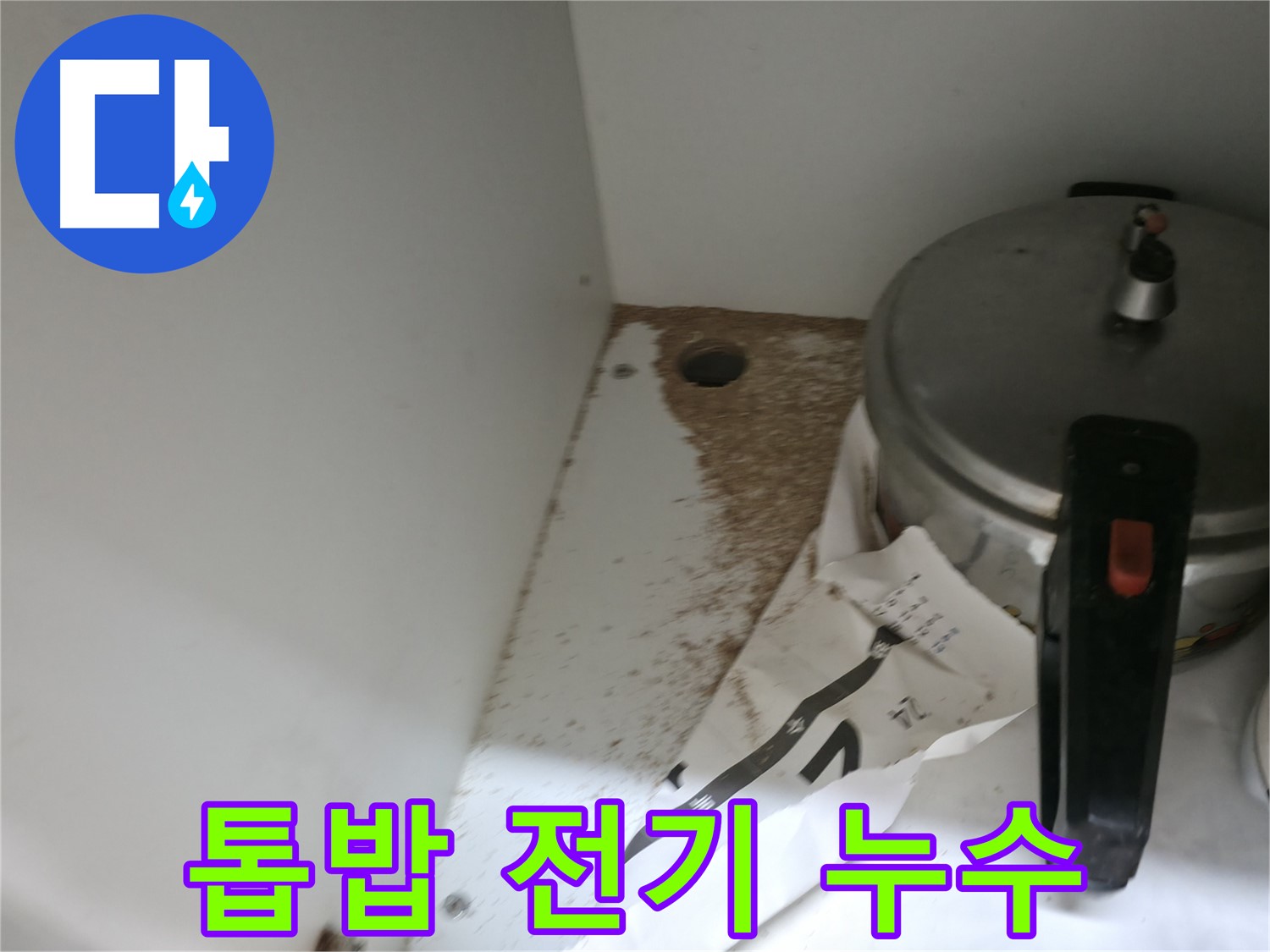 싱크대 하부 - 톱밥 - 곰팡이 주의 - 건강 위협