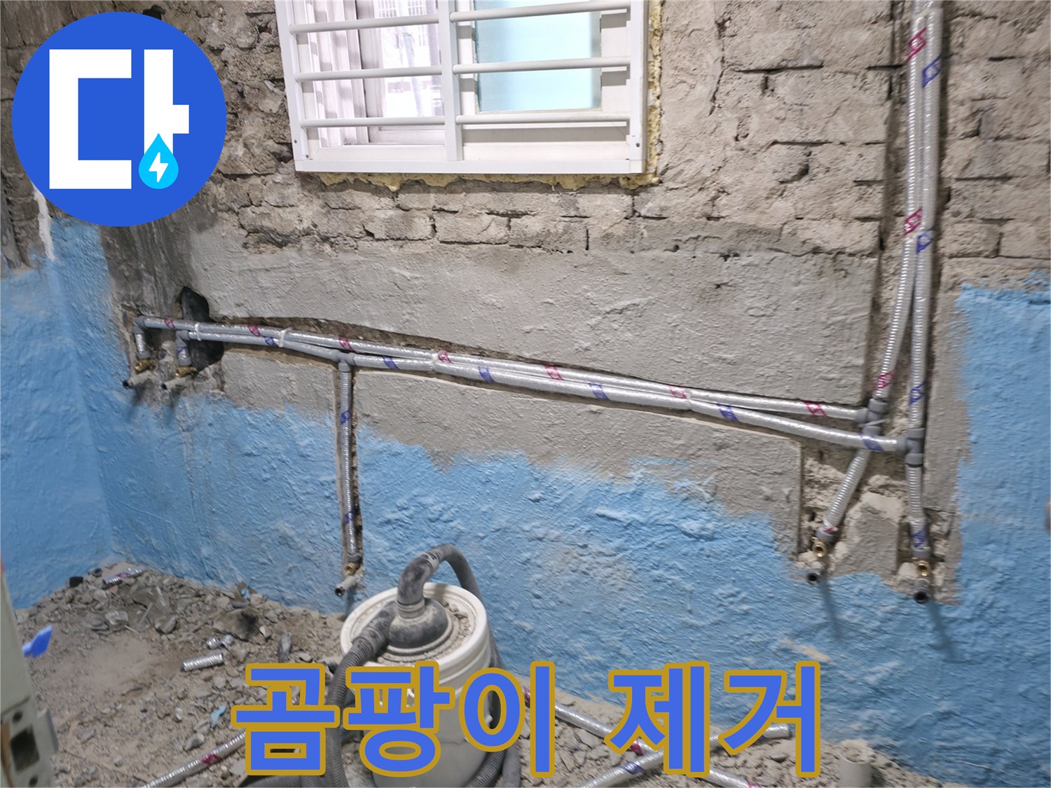 서초구 서초2동 누수 - 곰팡이 핀 벽, 누수 해결이 먼저입니다!