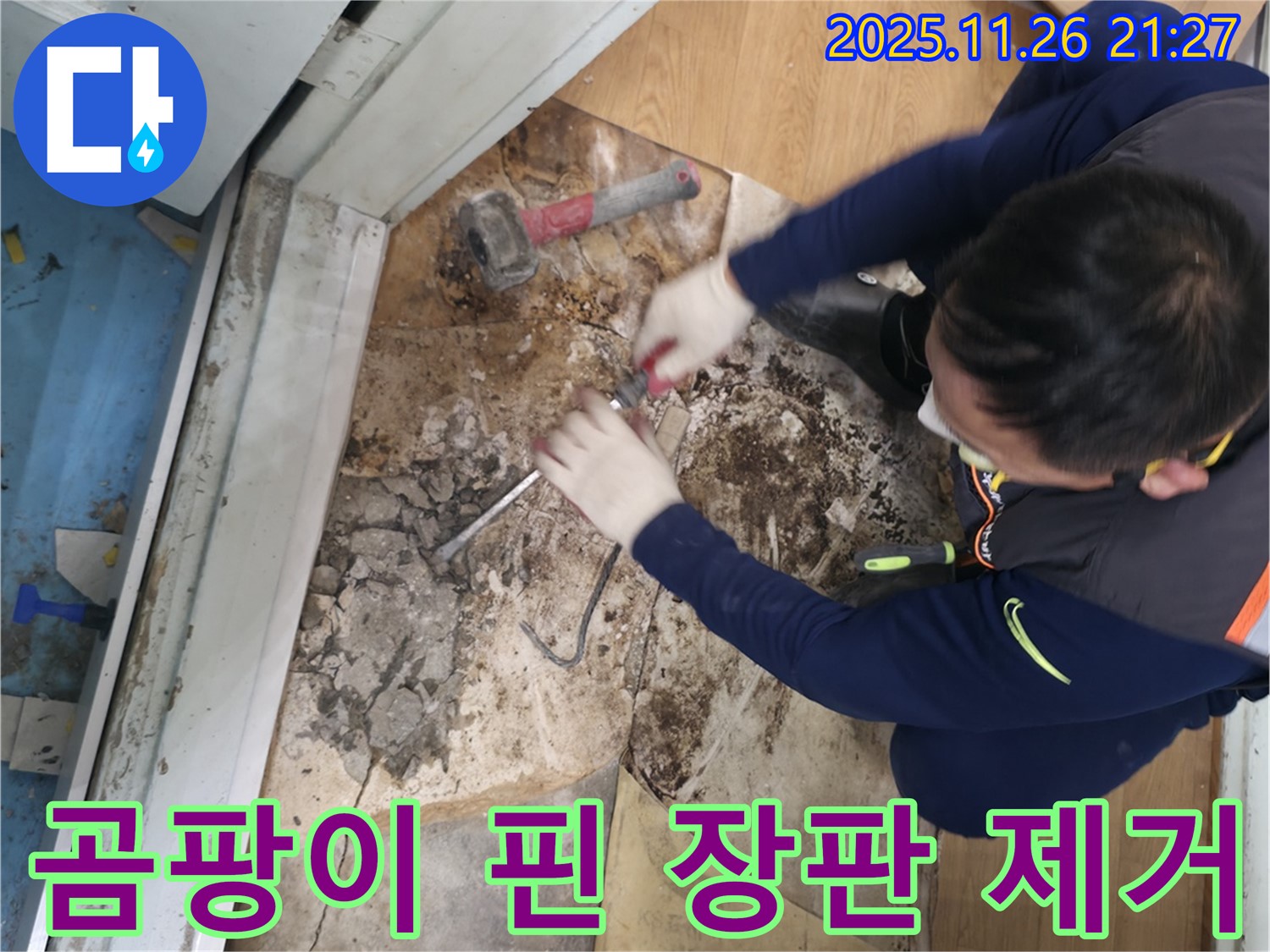 서초구 서초2동 명달로4길 곰팡이 핀 장판 제거 - 누수로 인해 곰팡이가 심하게 핀 장판을 제거하는 모습입니다.