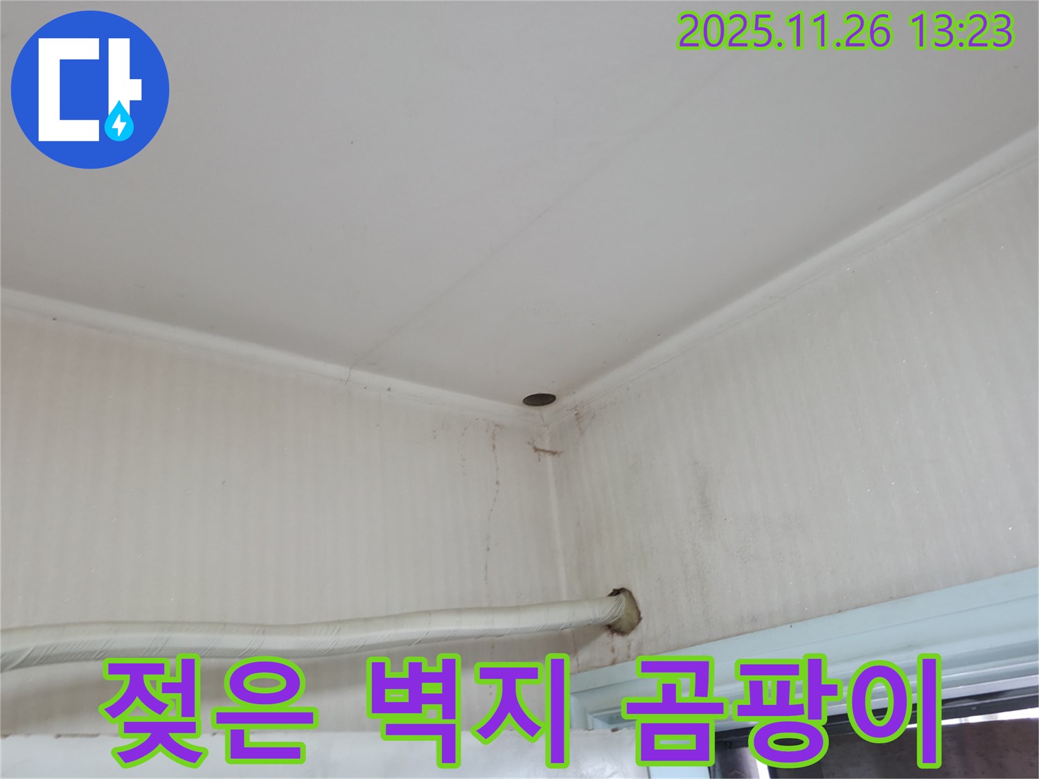 서초구 서초2동 명달로4길 누수 - 젖은 벽지는 곰팡이 번식의 최적의 장소입니다.
