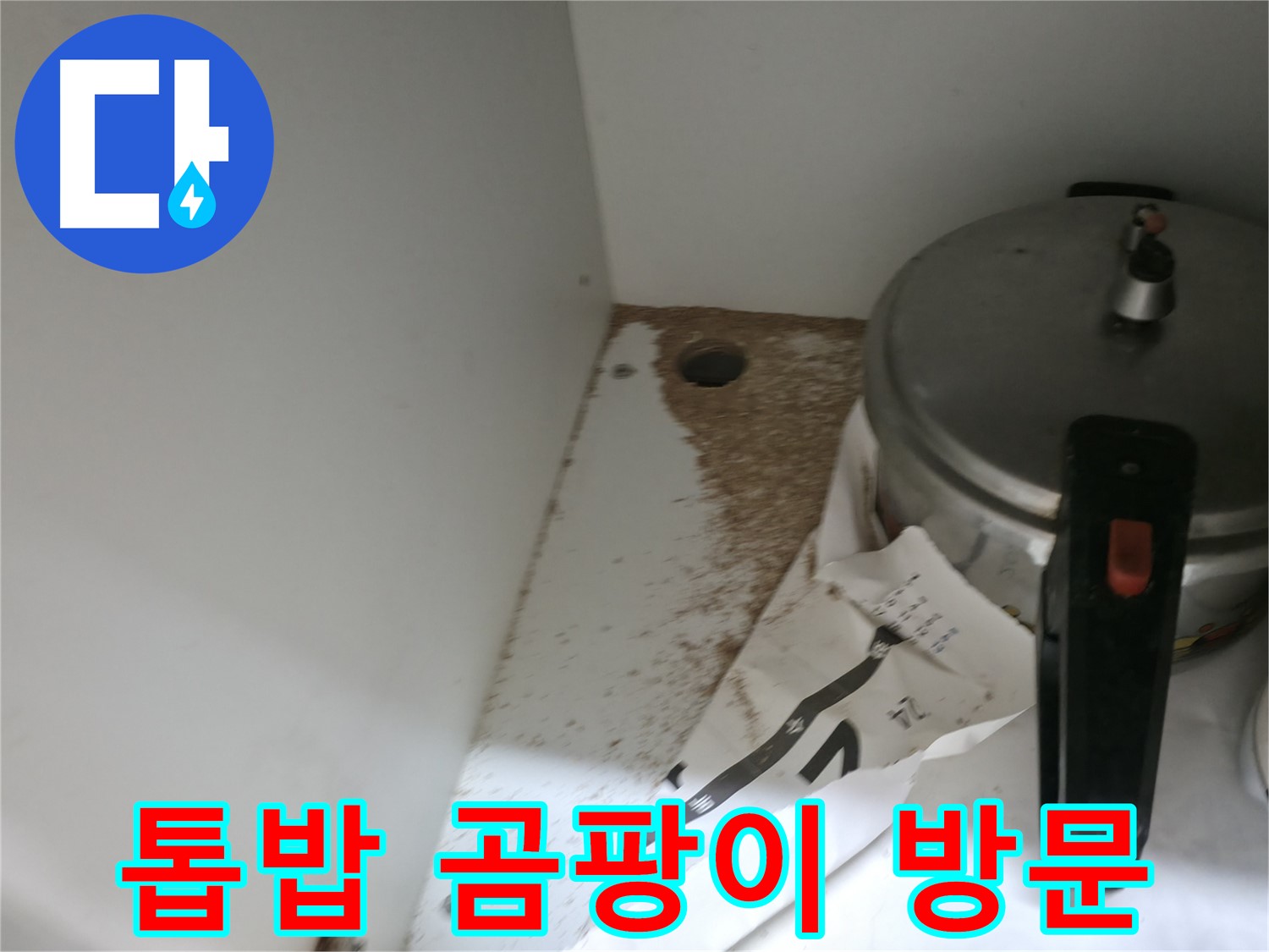 서초구 서초2동 싱크대 누수 - 톱밥, 곰팡이 냄새 24시간 긴급 방문 해결