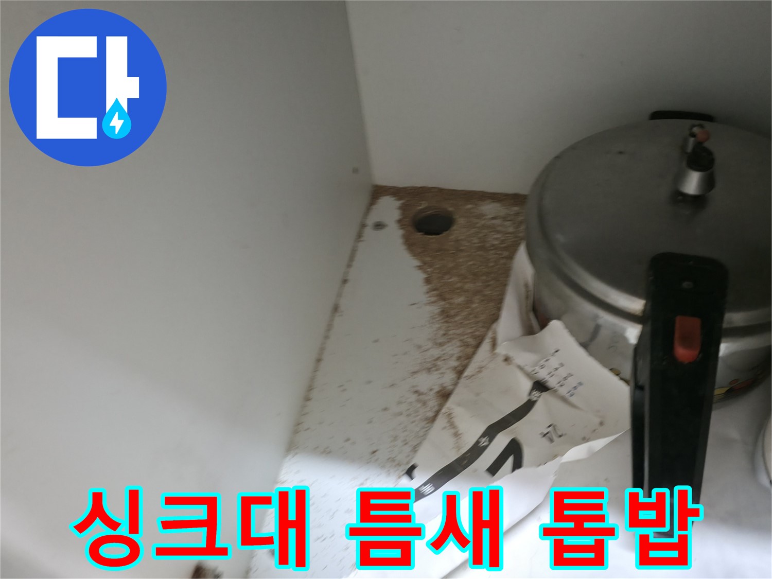 서초구 서초2동 싱크대 누수 - 틈새 톱밥 발생 원인 정밀 검사