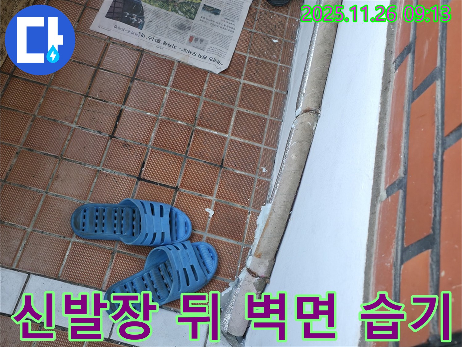 서초구 서초2동 현관 누수 현장 - 신발장 뒤쪽 벽면 습기 및 곰팡이 발생