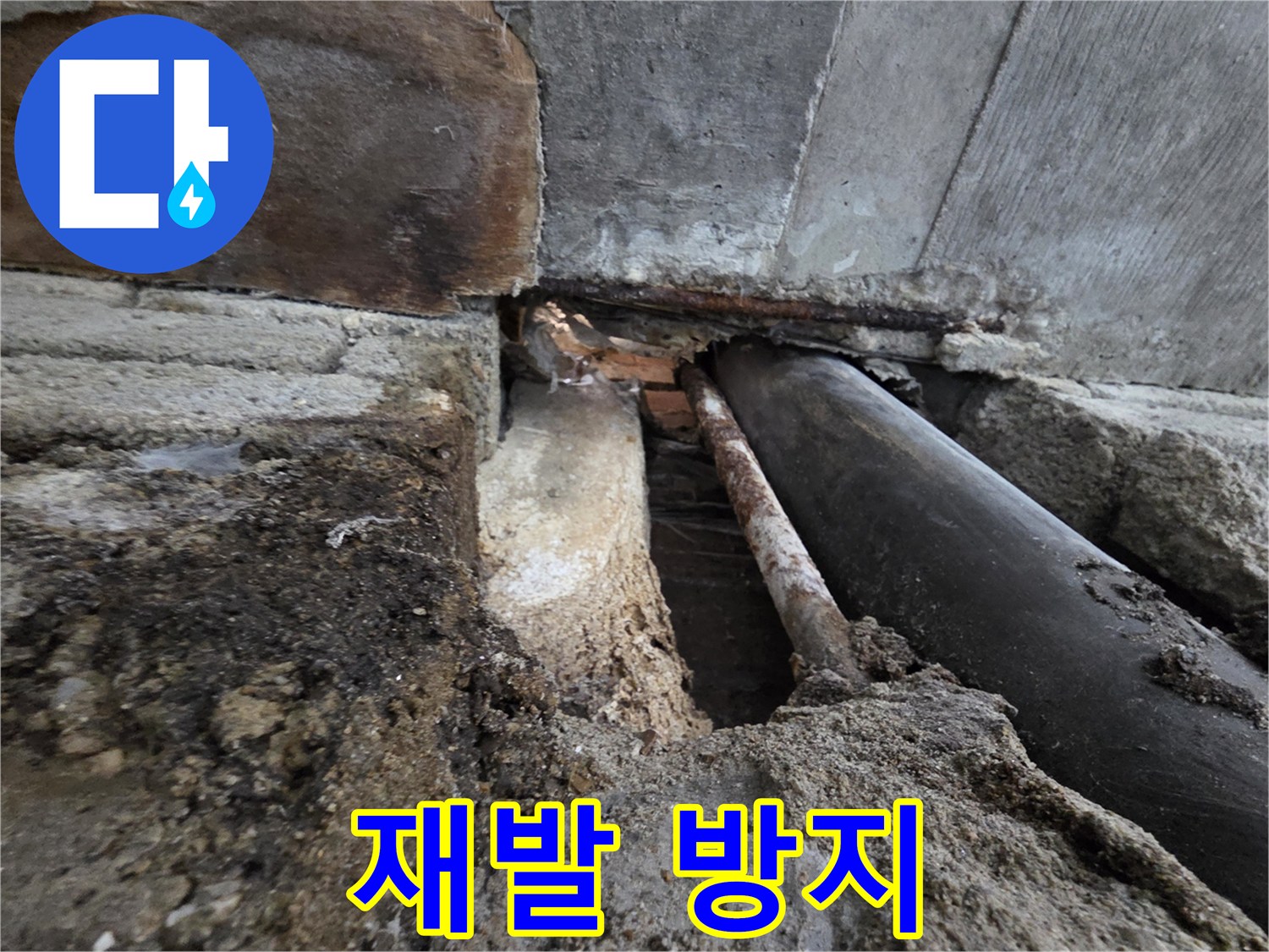 서초구 서초동 누수 - 꼼꼼한 점검으로 누수 재발을 철저히 방지합니다!