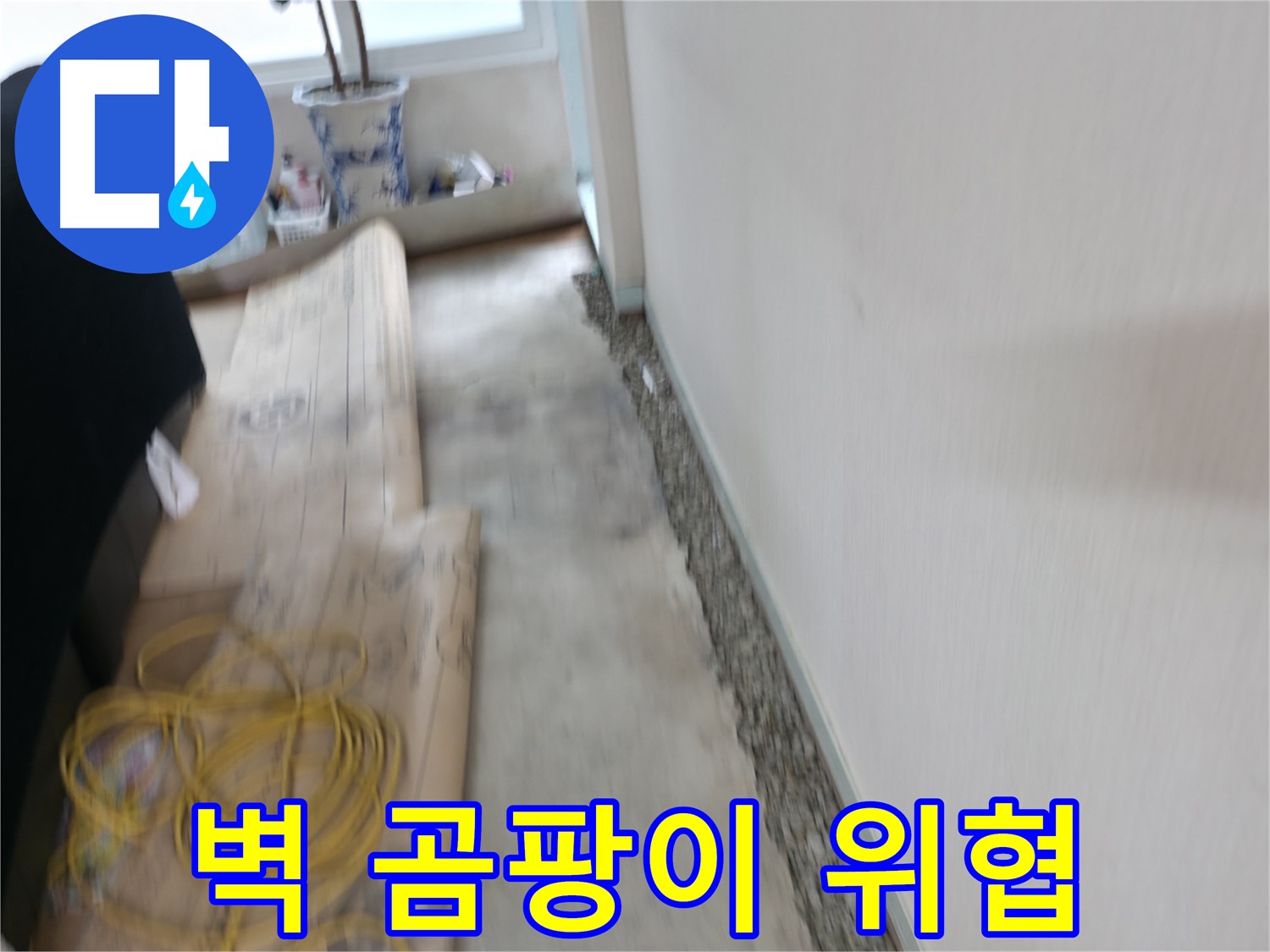 서초구 서초동 누수 - 벽면에 곰팡이가 심하게 핀 현장 이미지입니다.