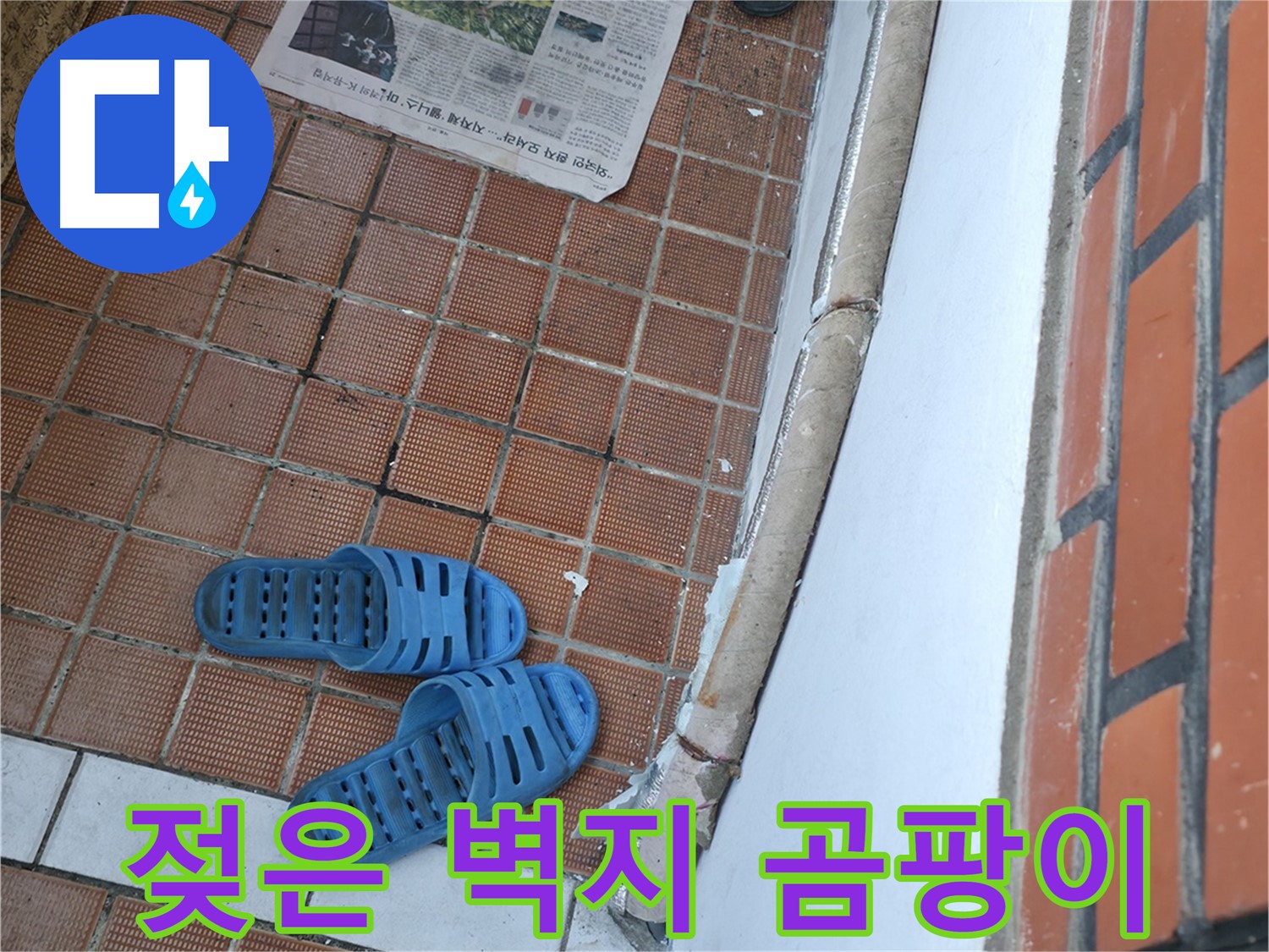 서초구 서초동 누수 - 젖은 벽지와 곰팡이는 건강까지 위협하는 누수입니다