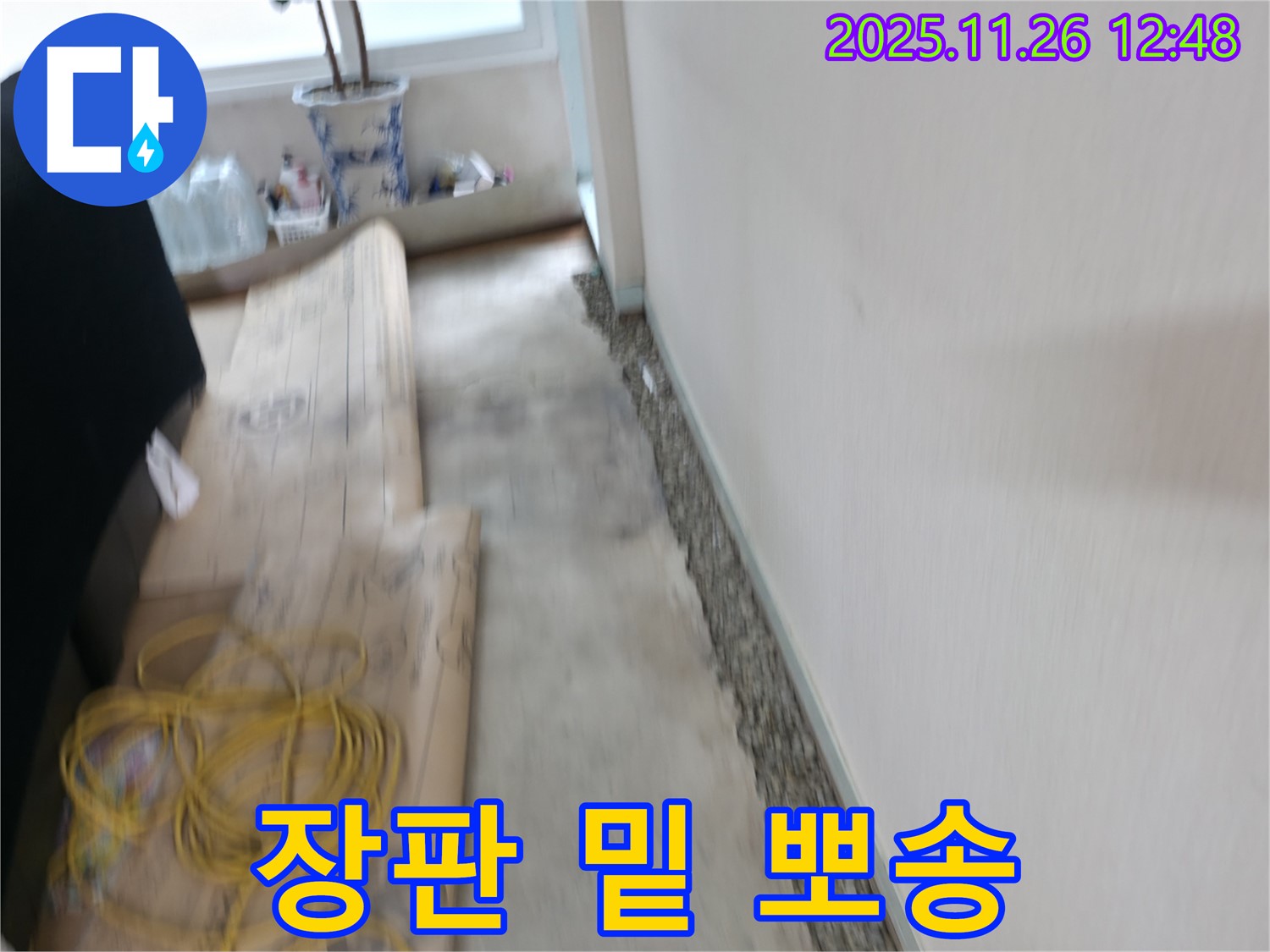 서초구 서초동 장판 밑 습기 제거 - 누수 해결로 뽀송한 공간 되찾기!