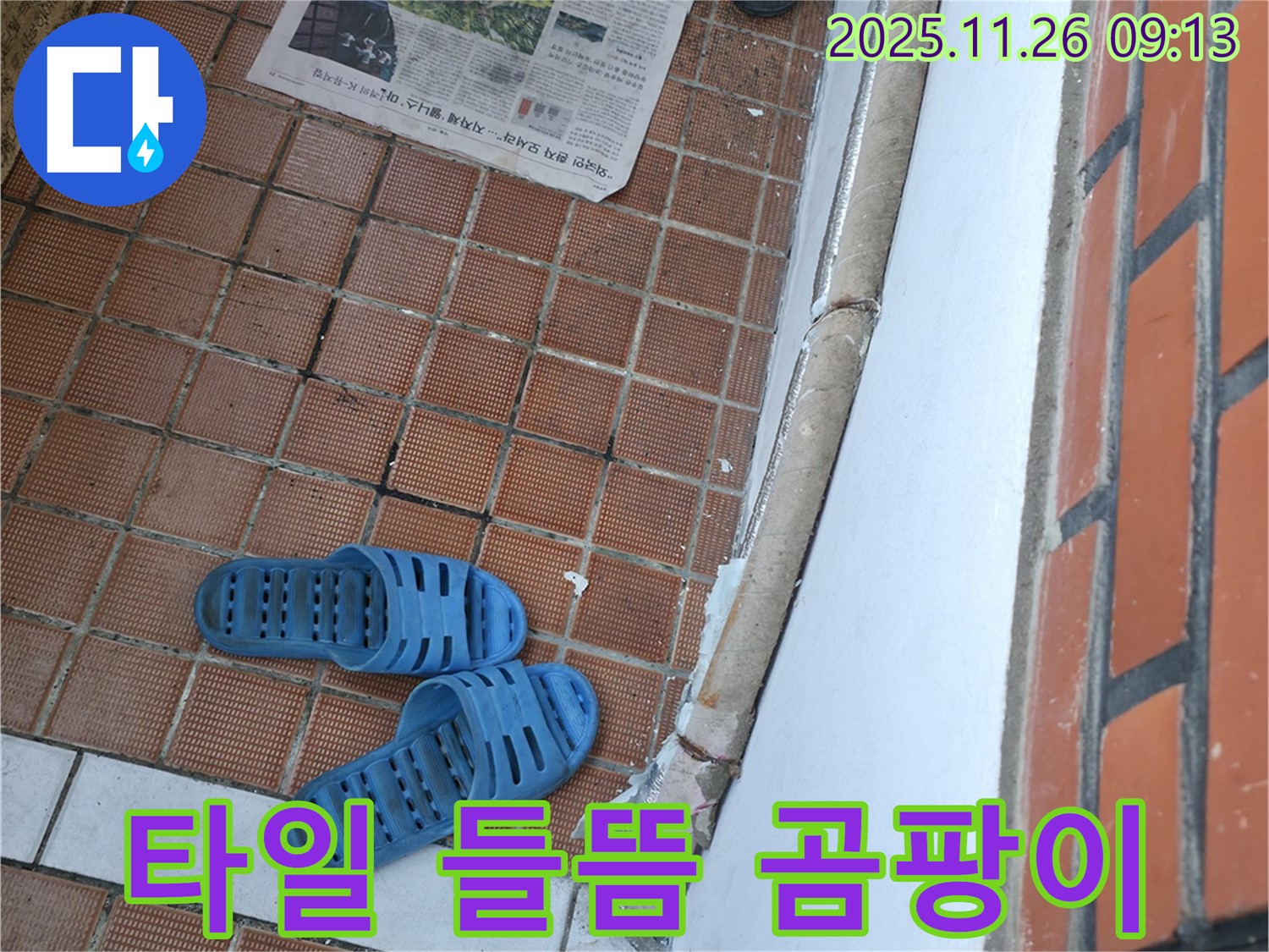 서초구 서초동 현관 누수 현장 - 타일 들뜸으로 인한 습기 및 곰팡이 발생