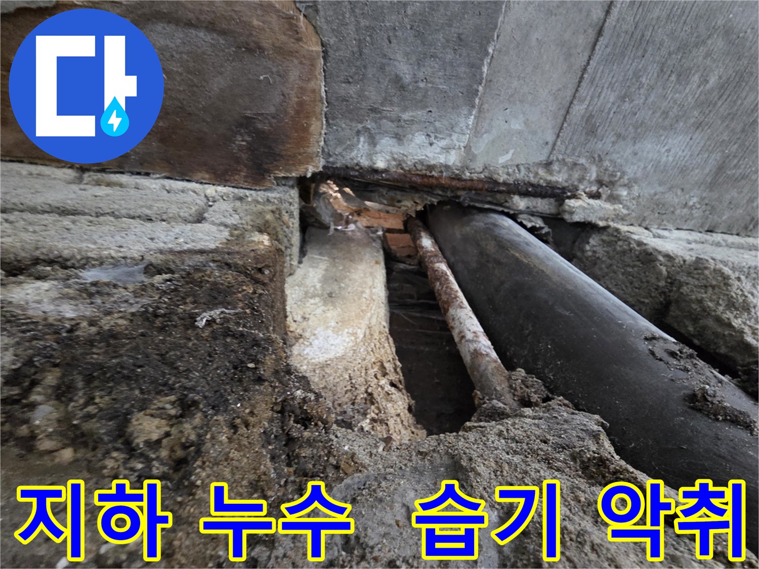 서초동 명달로4길 누수 - 건물 지하 누수 - 습기, 곰팡이, 악취 문제를 해결합니다 - 쾌적한 지하 공간을 만들어 드립니다.
