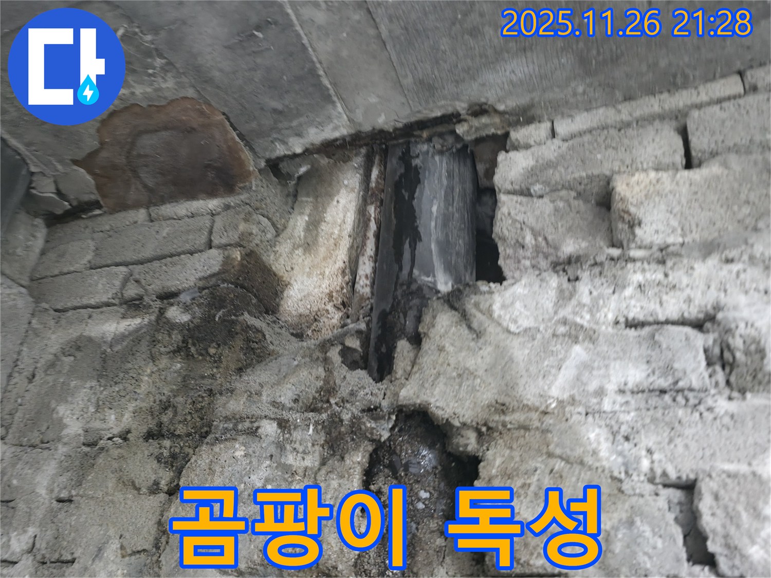 외벽 누수 곰팡이 독성 - 외벽 누수로 인해 곰팡이가 발생하고 곰팡이 독성 물질이 퍼져 건강을 위협하고 있습니다.