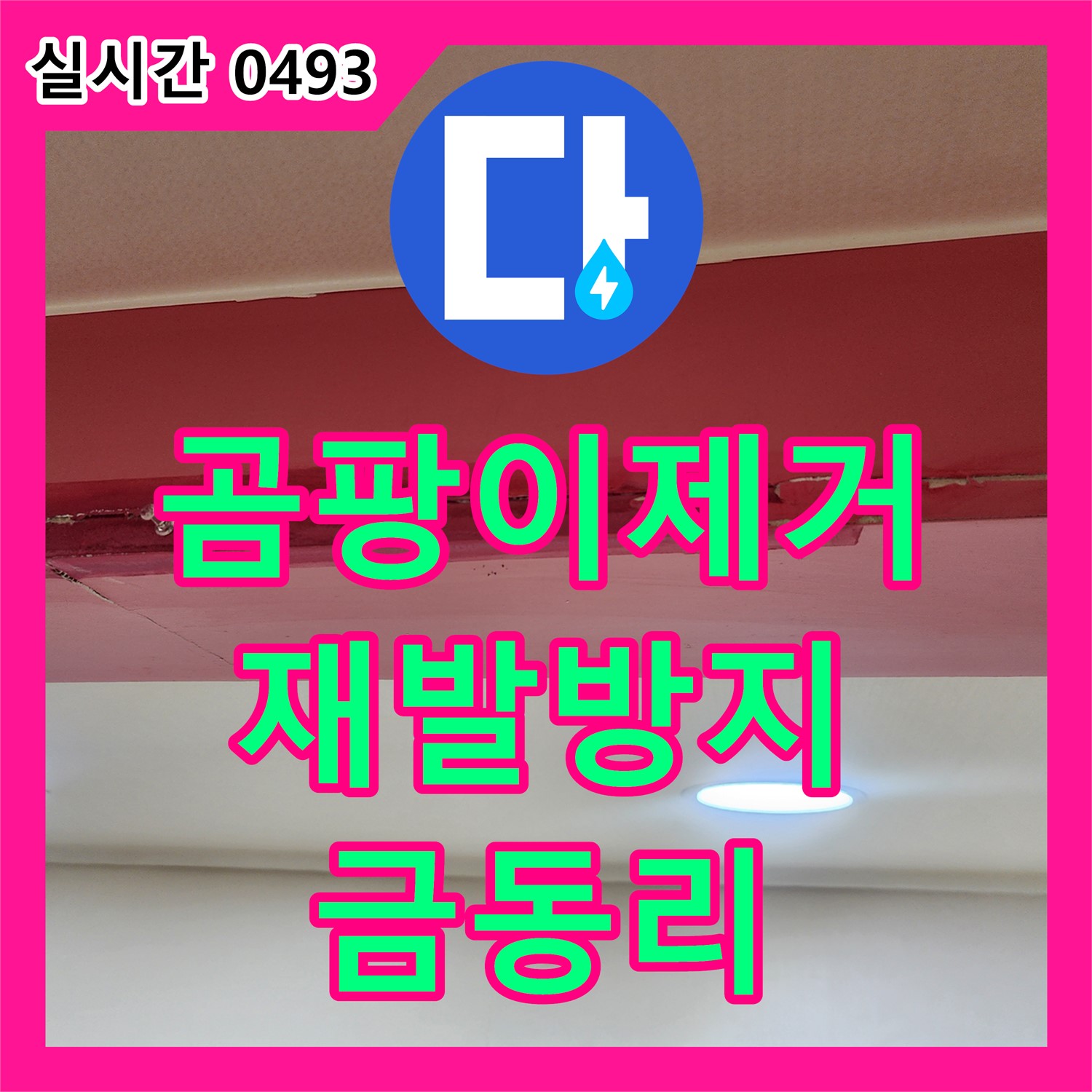 금동리 누수전문, 붉은 페인트 천장 곰팡이, 완벽 제거 및 재발 방지 시공