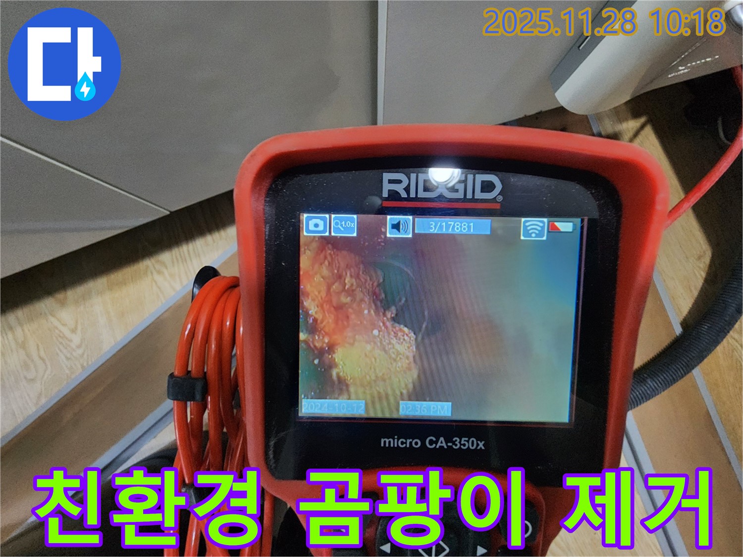 친환경 약품으로 곰팡이 제거 - 안전하게!