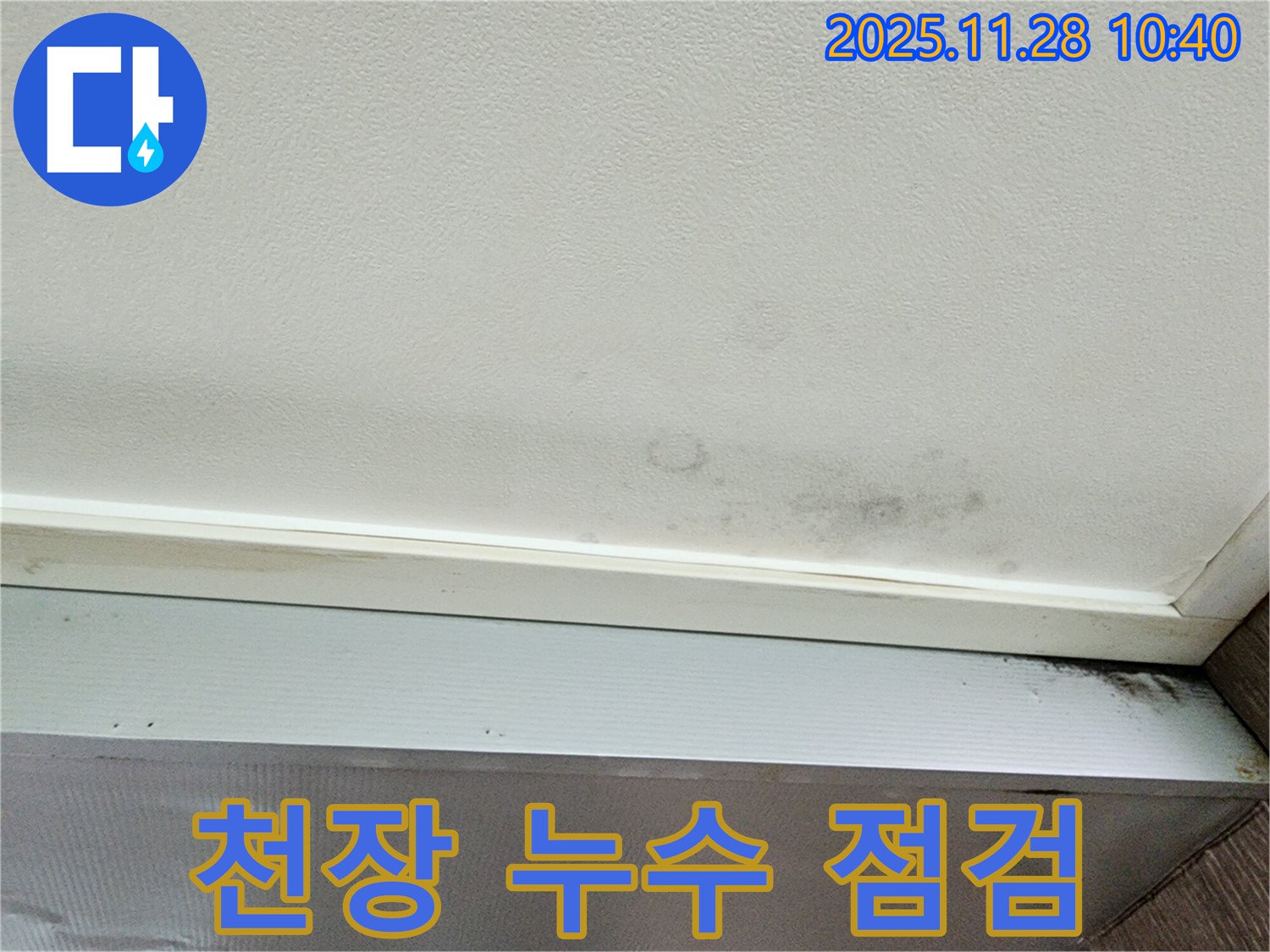 포천시 신북면 금동리 누수 - 천장 누수 부위 꼼꼼한 점검