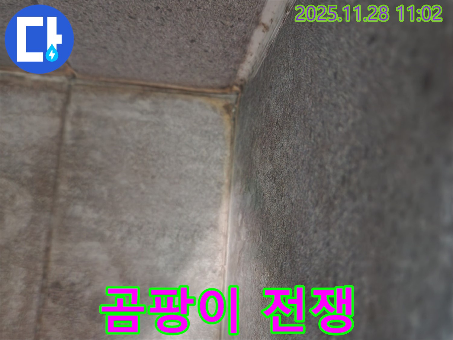 포천시 욕실 누수 - 곰팡이 전쟁, 쾌적 변신