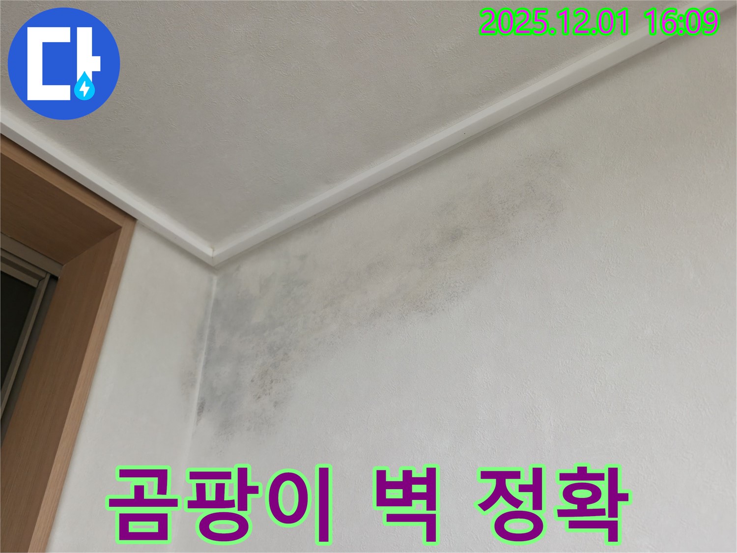 곰팡이 핀 벽 - 최첨단 장비 - 기흥 누수탐지