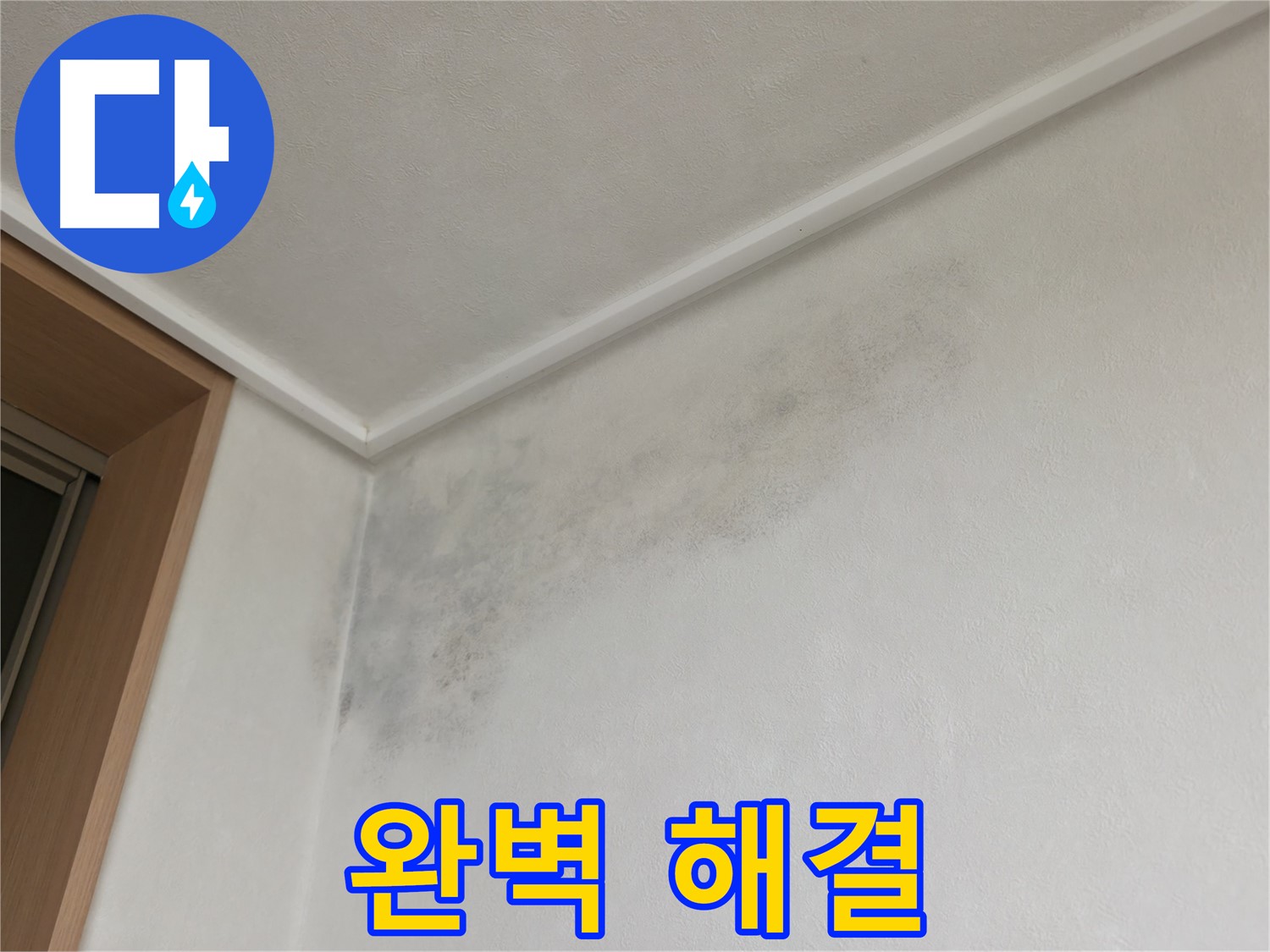 구갈동 누수 - 곰팡이 걱정 없이 완벽한 누수 해결