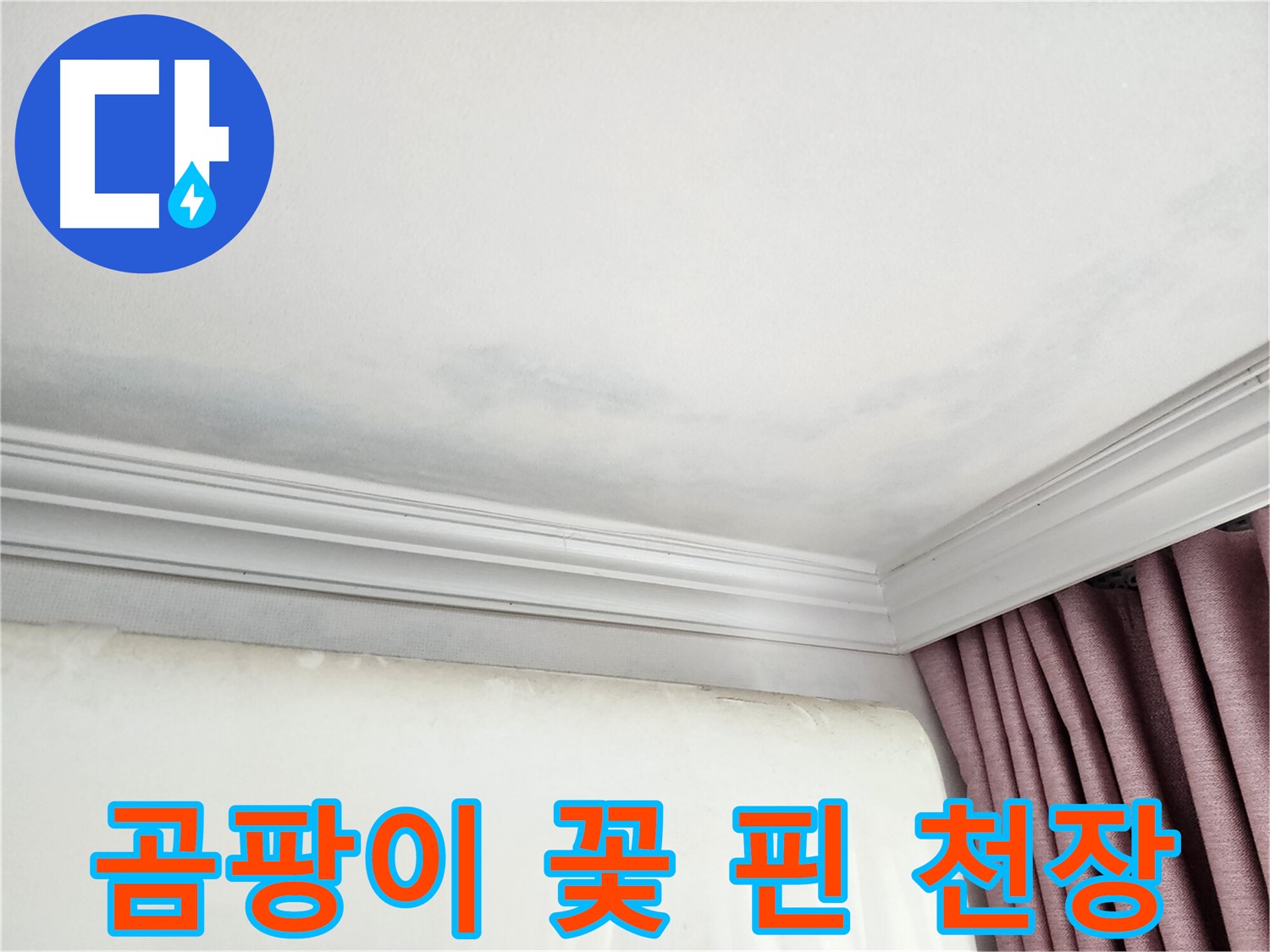 성남 중원구 아파트 곰팡이 꽃 핀 천장 - 누수 원인 완벽 제거