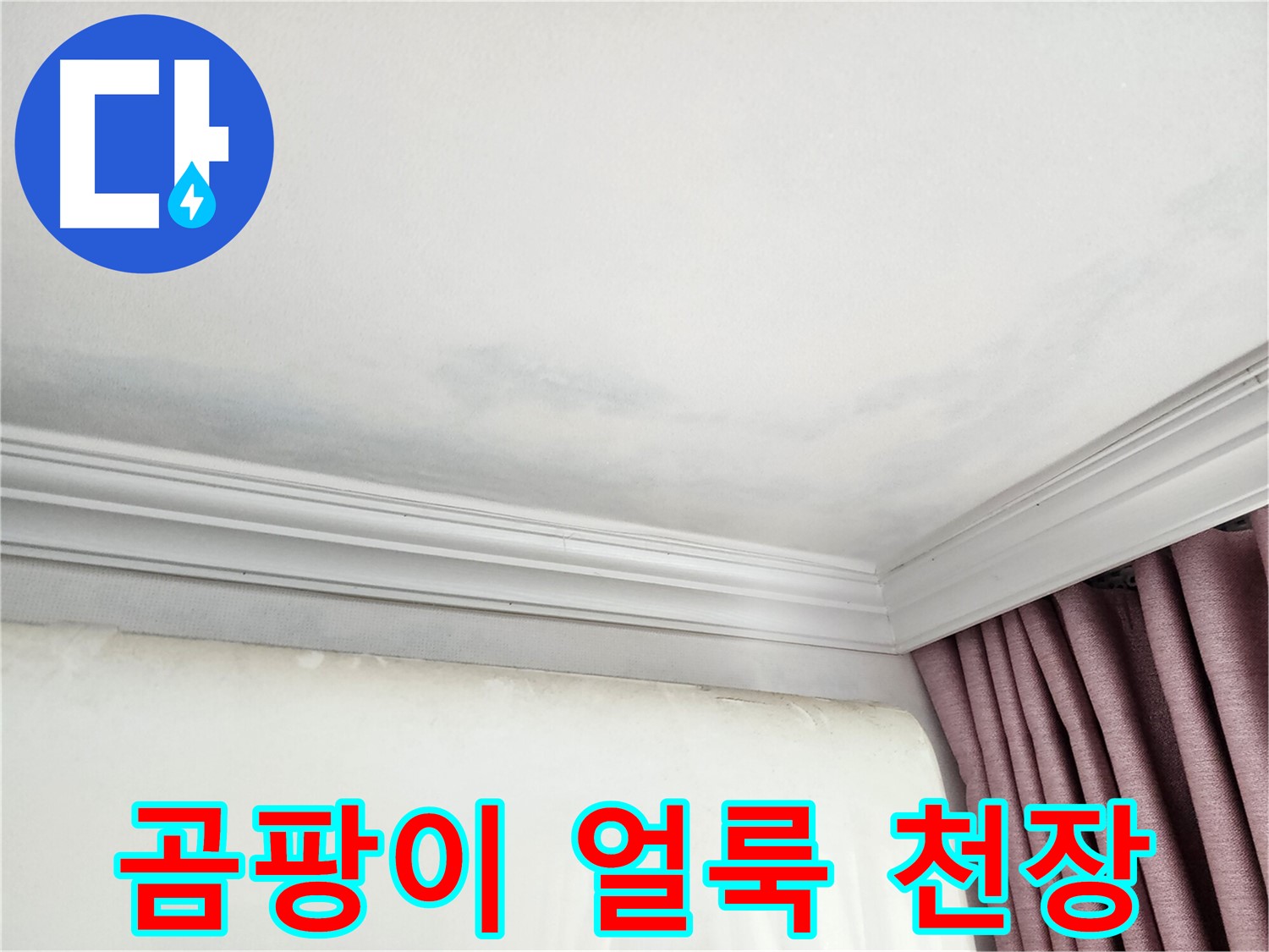 성남 중원구 아파트 곰팡이 얼룩 천장 - 누수 초기 증상 점검