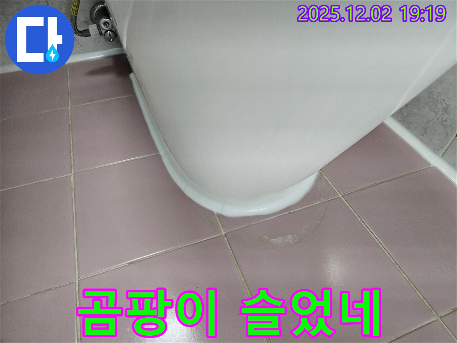 신대방동 현대아파트 변기 누수 - 곰팡이 핀 백시멘트, 교체 작업으로 누수 해결