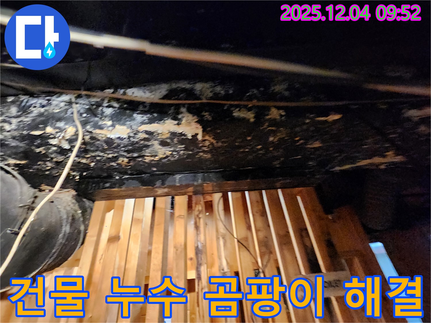 성동구 마조로 건물 누수 - 곰팡이 문제까지 확실하게 해결 완료