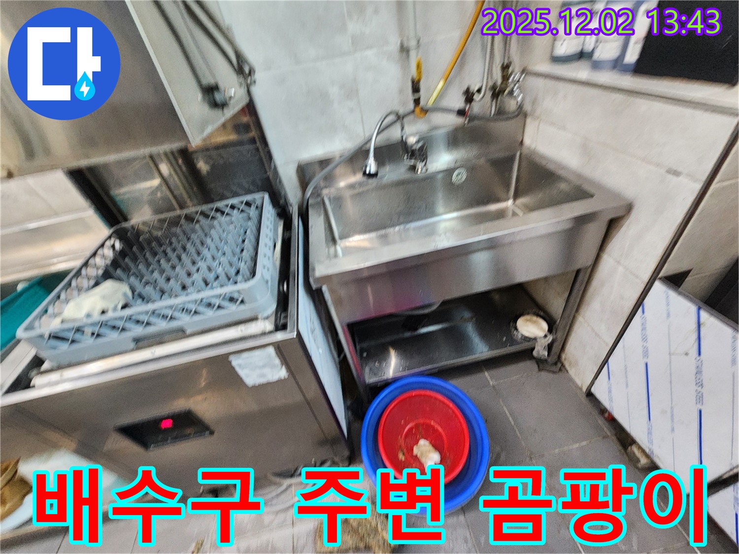 포천 노곡리 식당 식기세척기 옆 스테인리스 싱크대 배수구 주변 곰팡이 - 습기 때문에 곰팡이가 심하게 생겼네요.