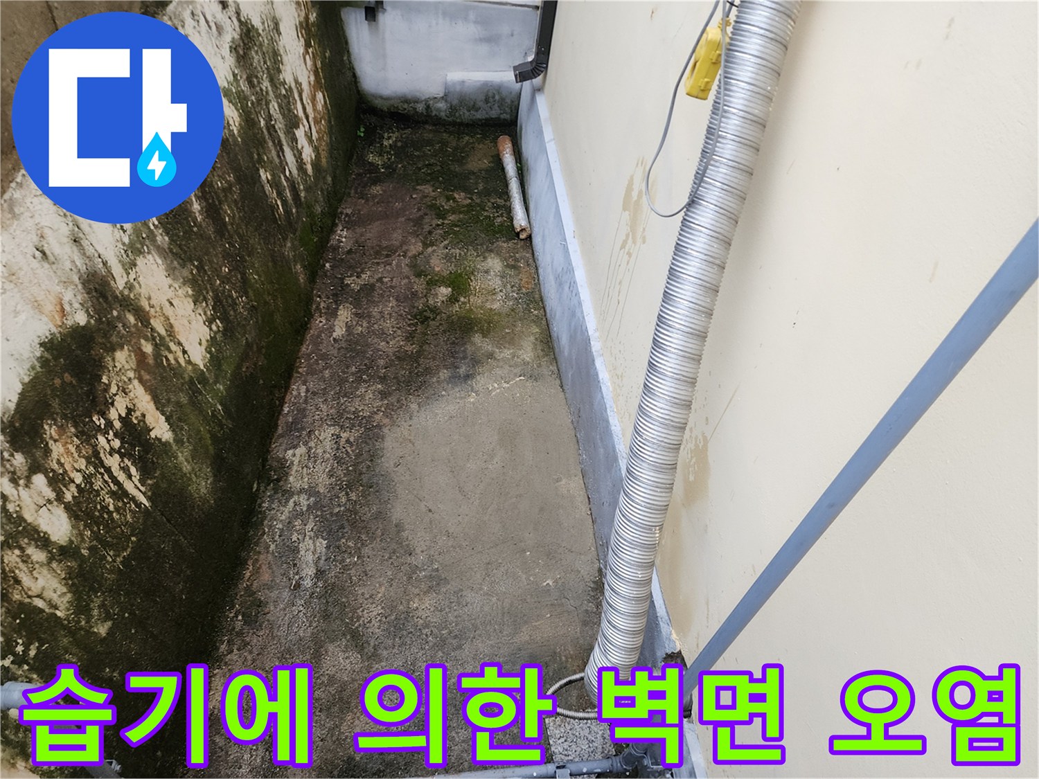 배관 인근 벽면-물기로 인해 곰팡이가 증식한 외벽 상태