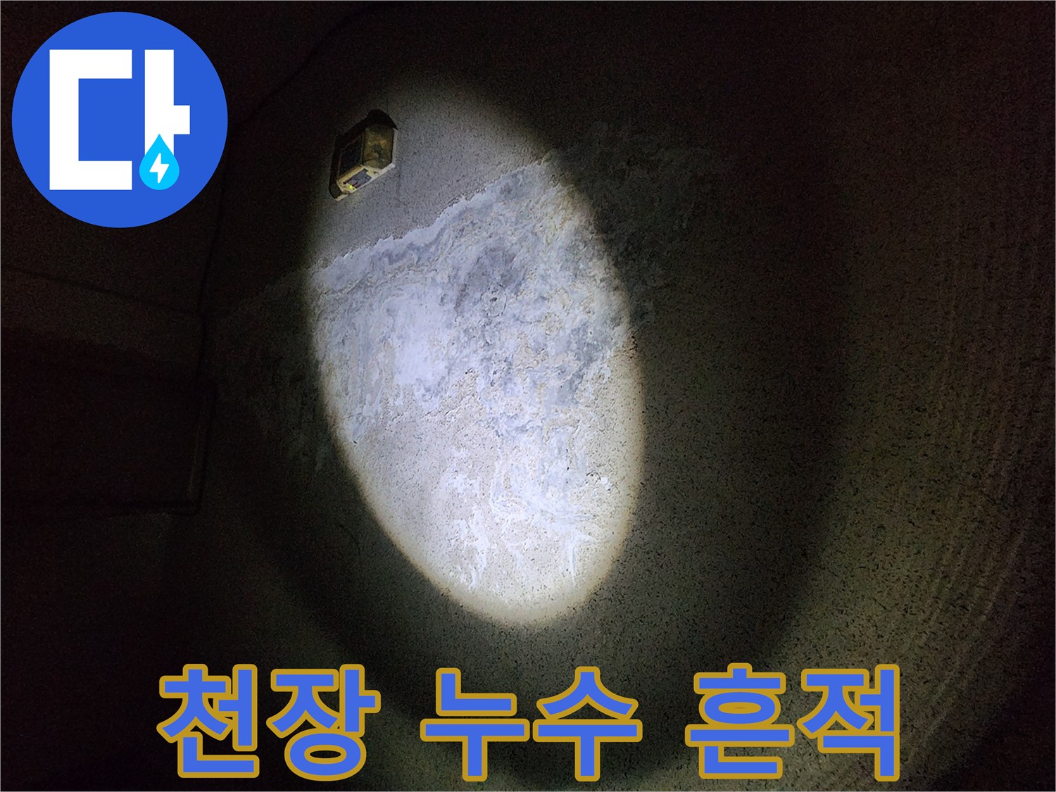 어두운 지하 천장-하얗게 일어난 백화 현상 부위