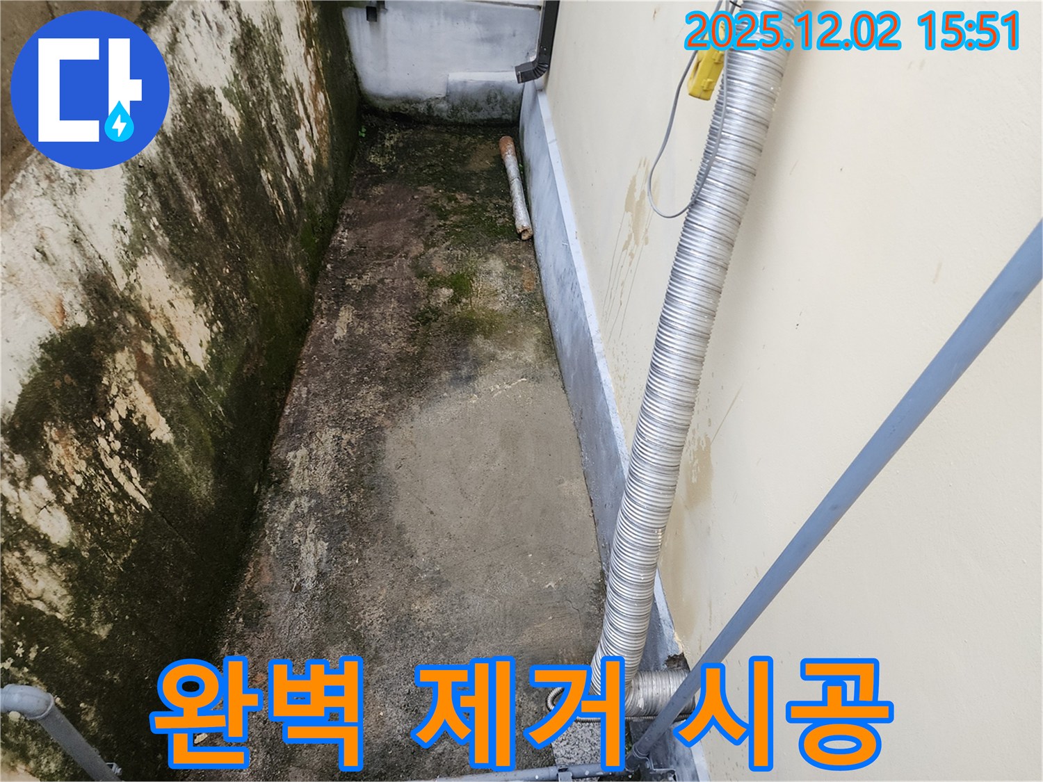 일동면 곰팡이 제거 - 완벽한 시공으로 곰팡이, 냄새, 습기, 벽 갈라짐 문제 해결!