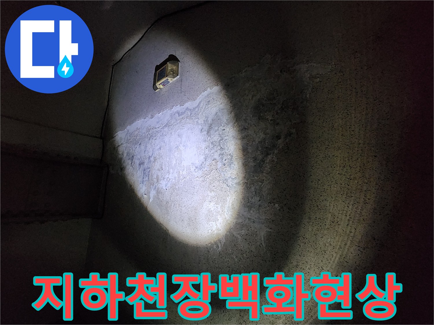 지하 주차장 천장 슬래브에 발생한 백화 현상 이미지