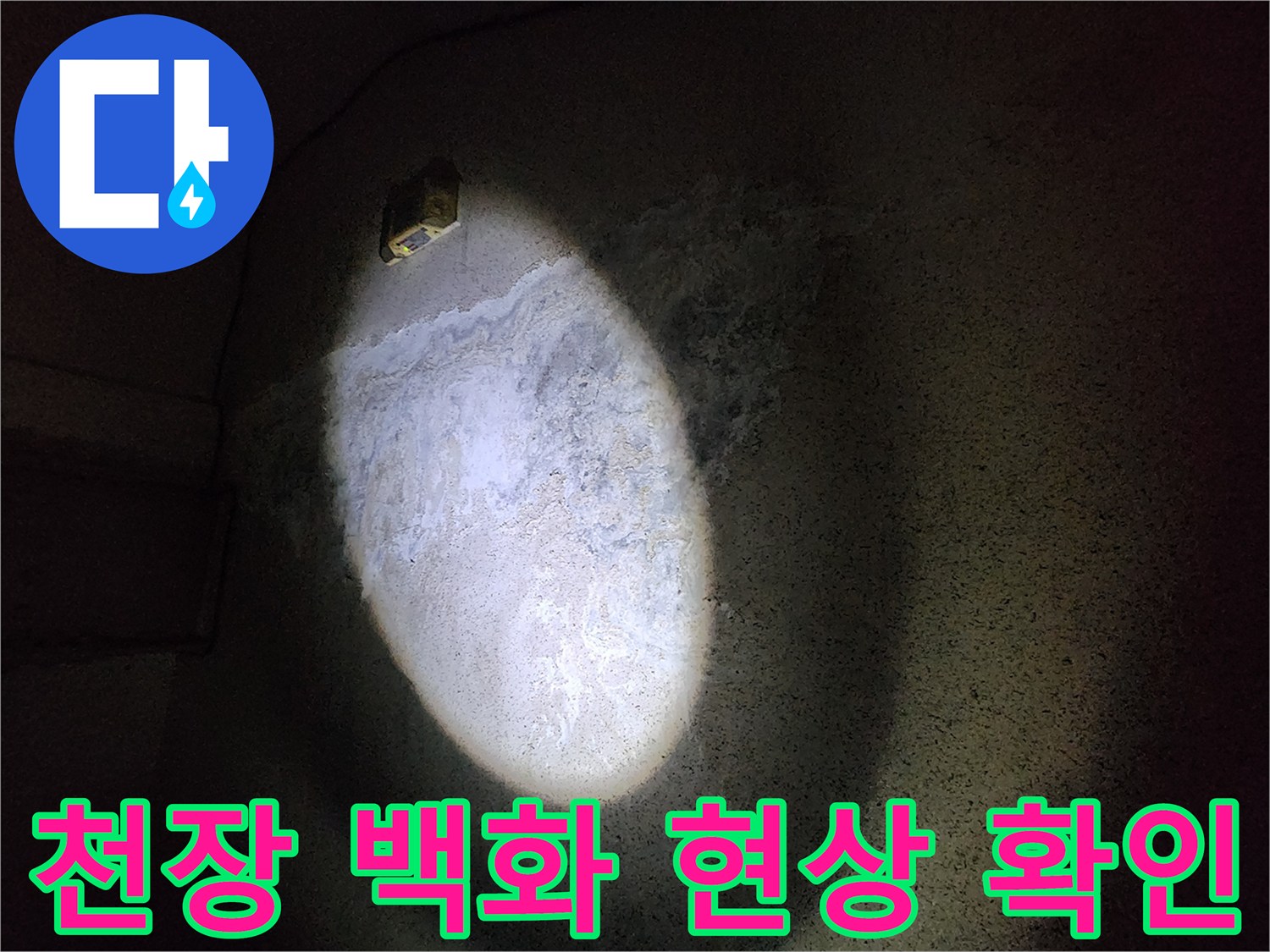 지하 주차장 천장 슬래브의 백화 현상 및 습기 상태