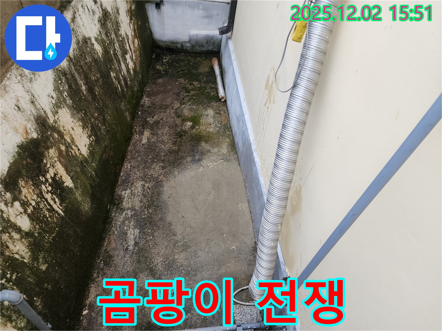 포천시 일동면 길명리 - 좁은 공간 곰팡이와의 싸움 시작!