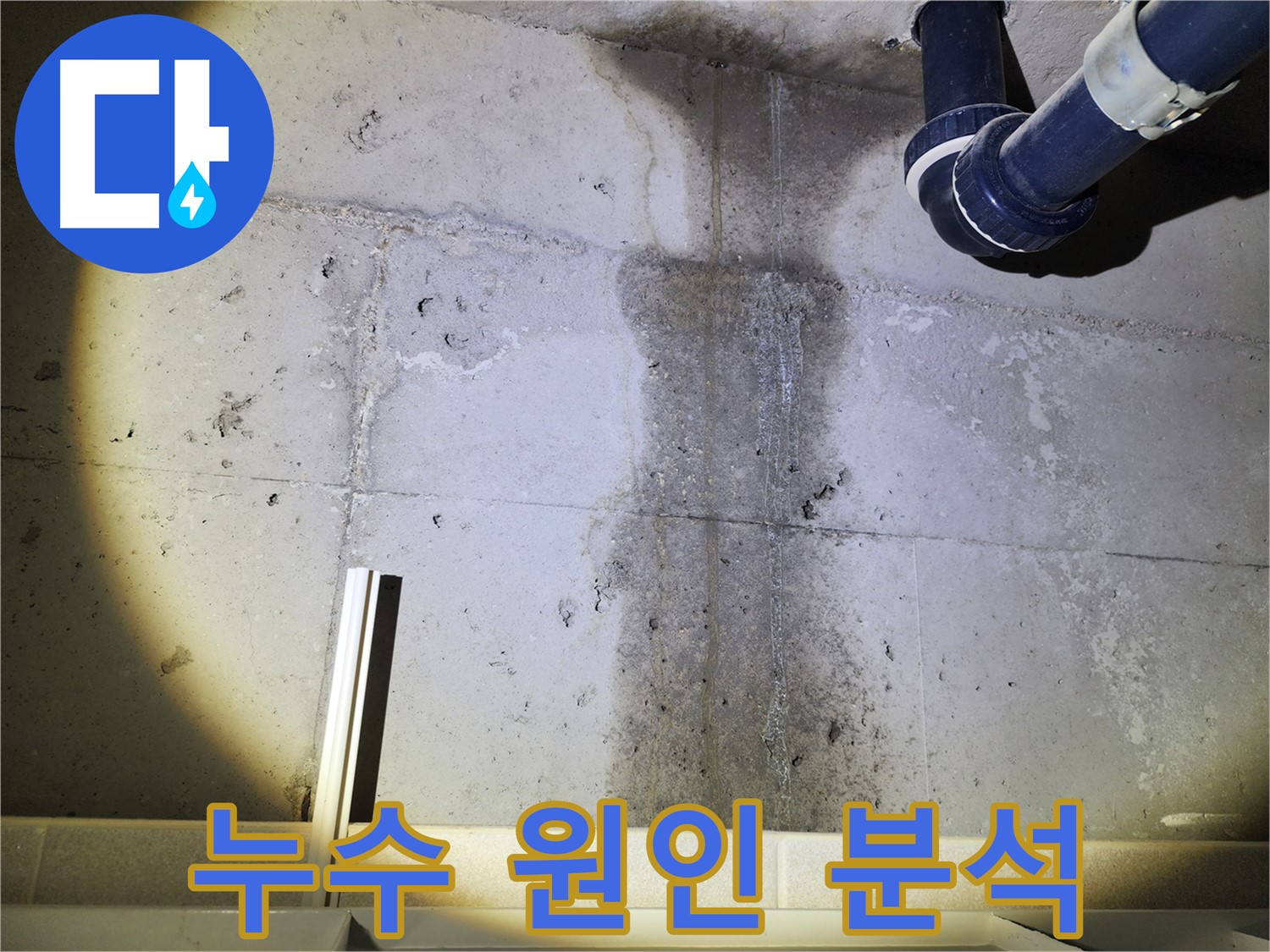 벽에 곰팡이가 핀 모습 - 누수가 원인일 수 있습니다.