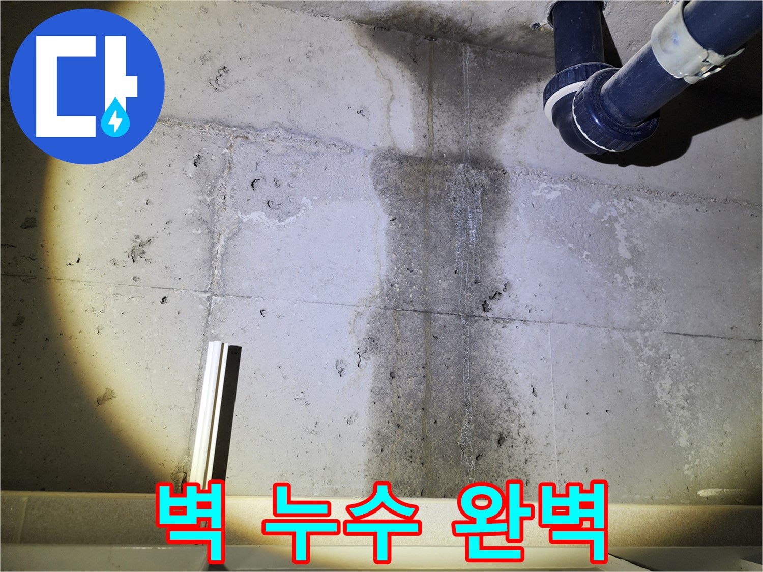 콘크리트 벽에 곰팡이가 핀 모습 - 누수가 원인일 수 있습니다.