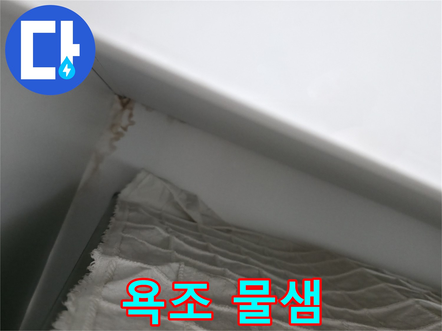 마포구 중동 건영 월드컵 아파트 누수 - 누수 피해로 인한 곰팡이 번식